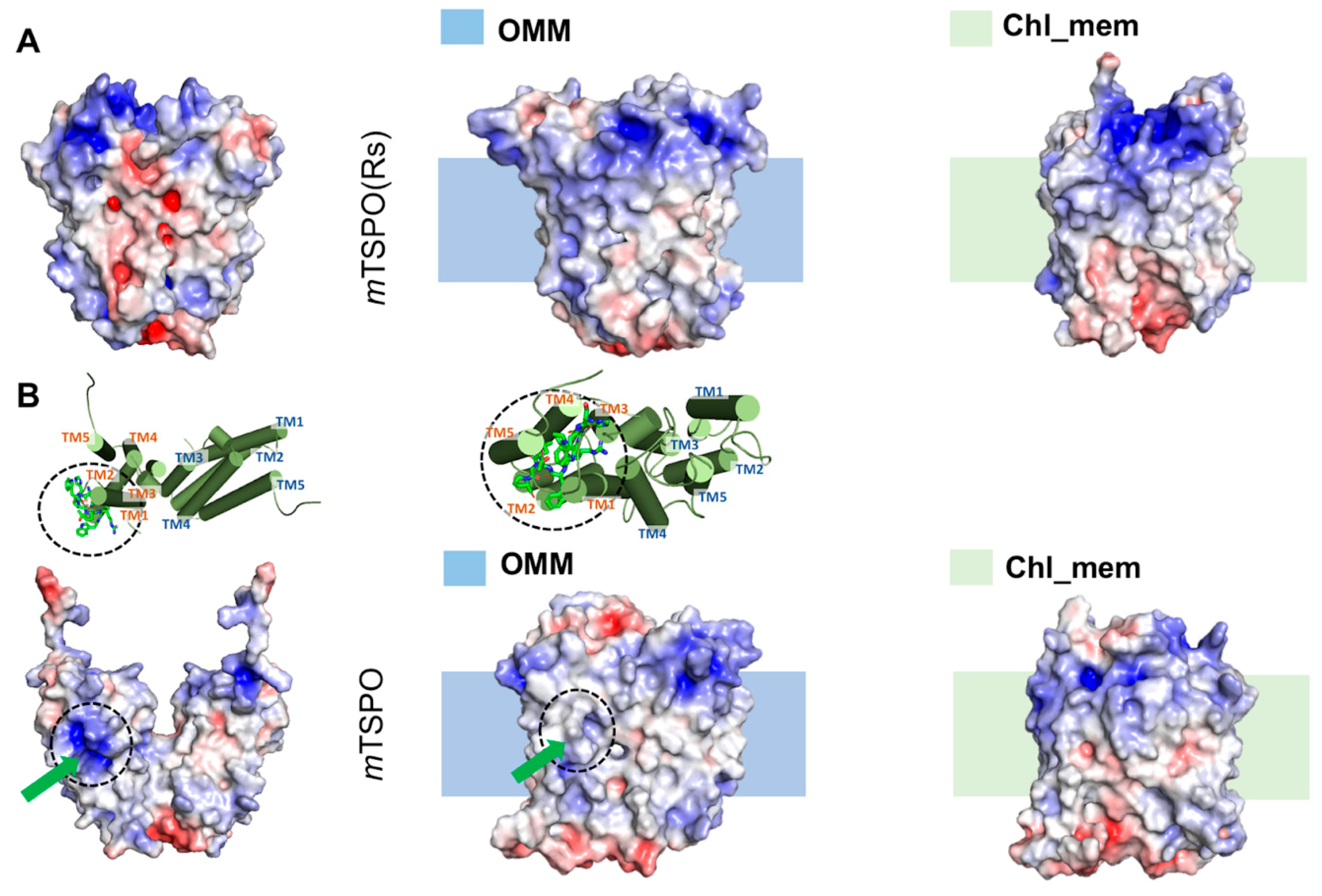 Molecules 25 04299 g001 Molecules 25 04299 g001