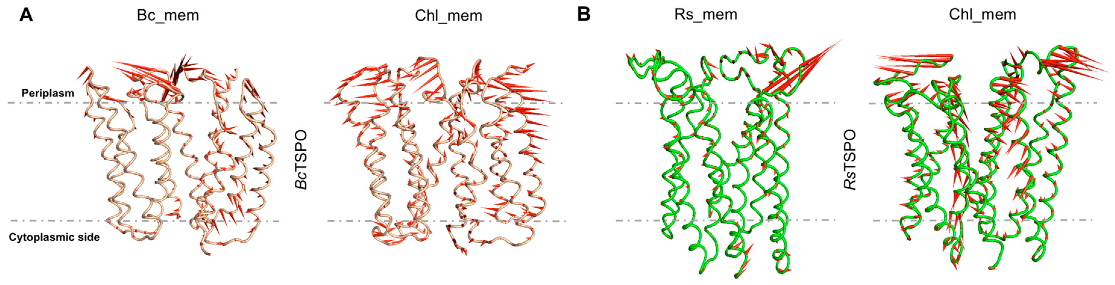 Molecules 25 04299 g009 Molecules 25 04299 g009