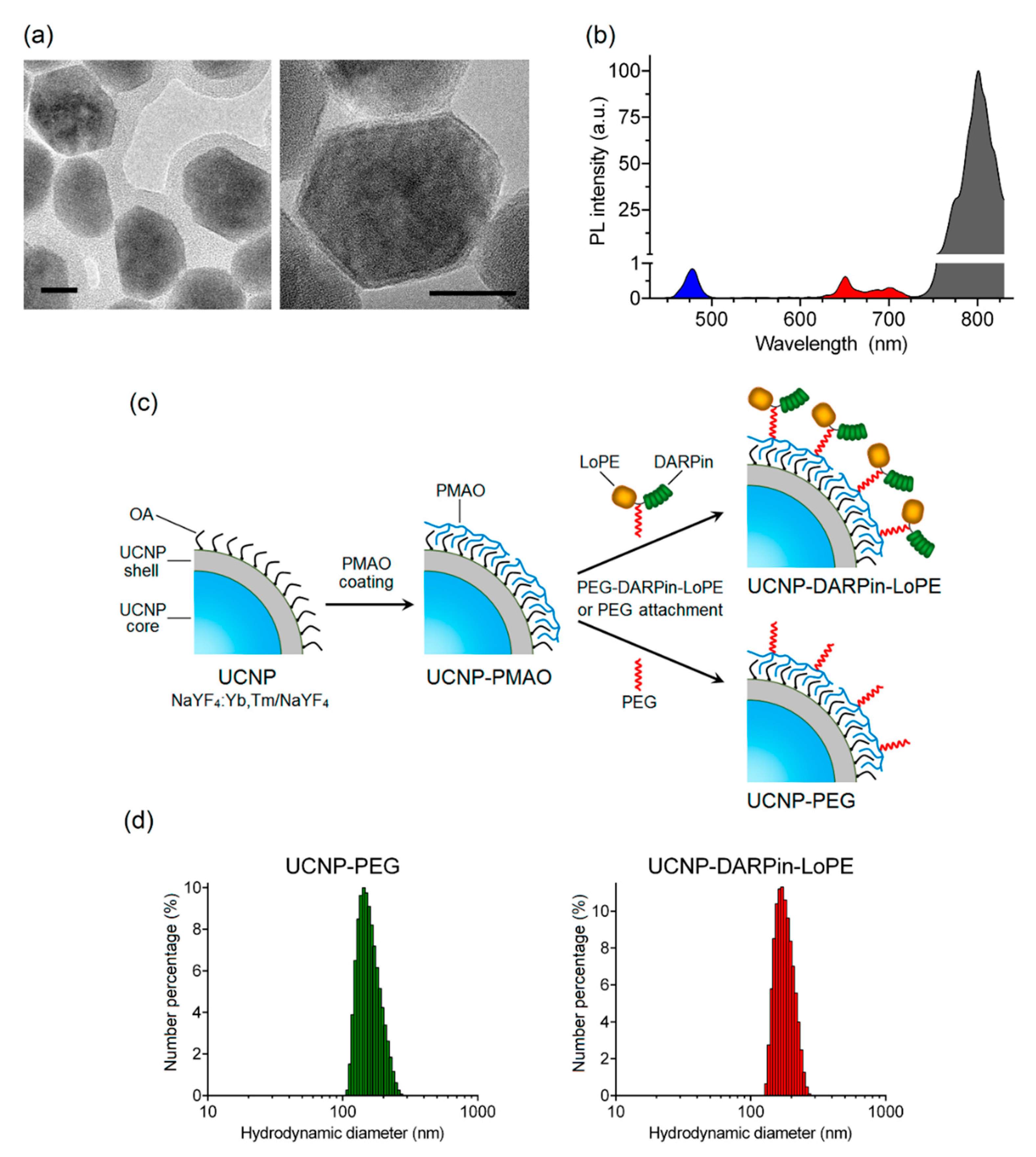 Molecules 25 04302 g001