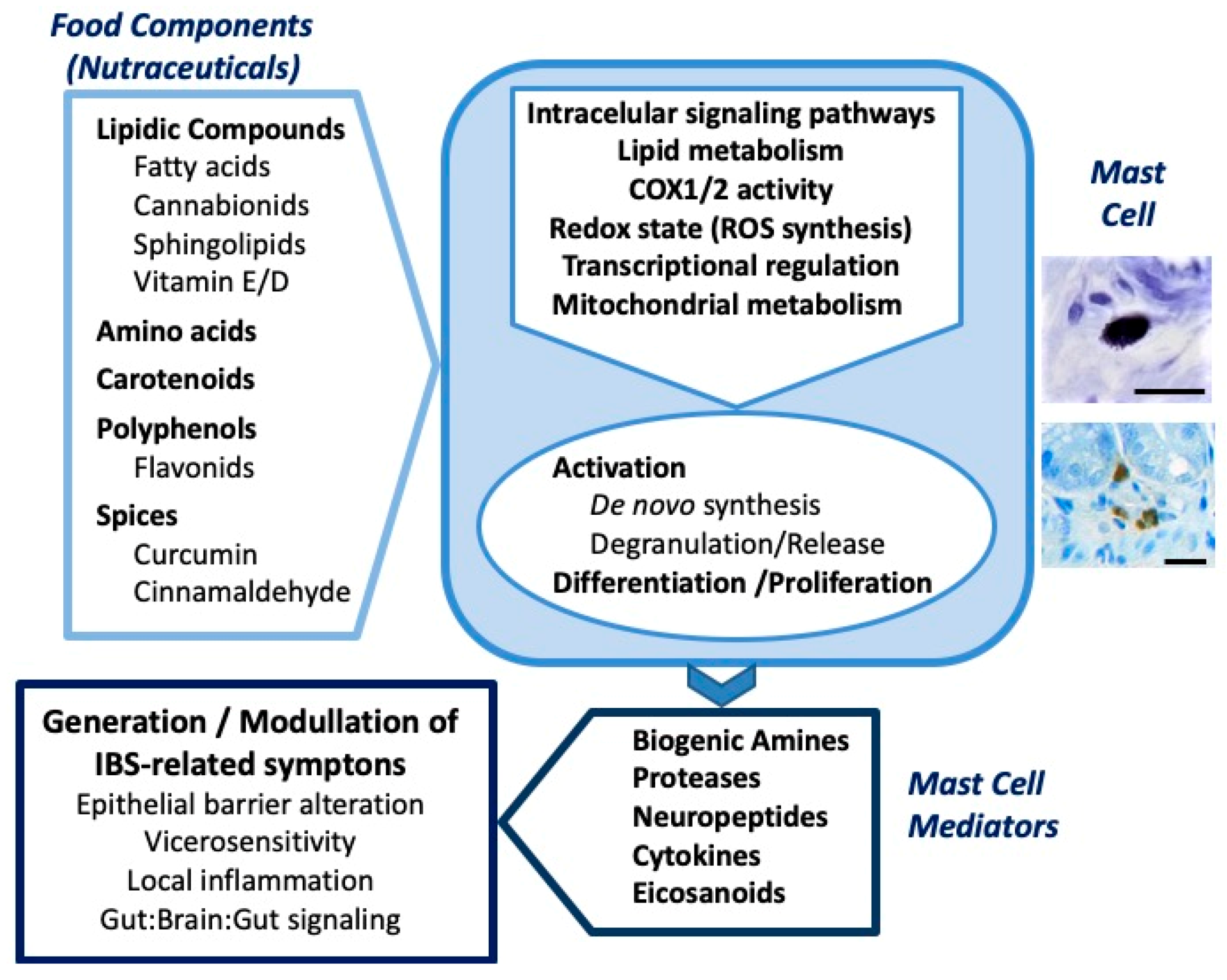 Molecules 25 04314 g001