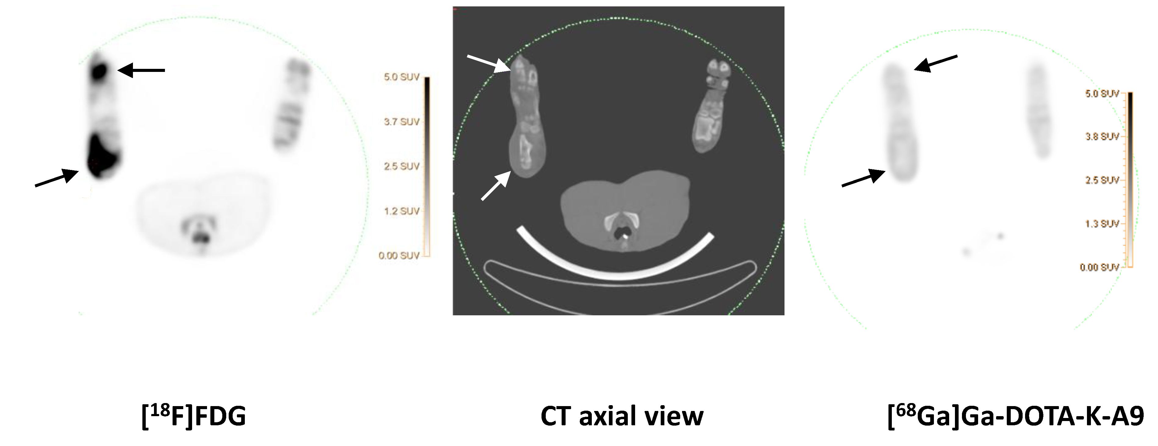 Molecules 25 04329 g001