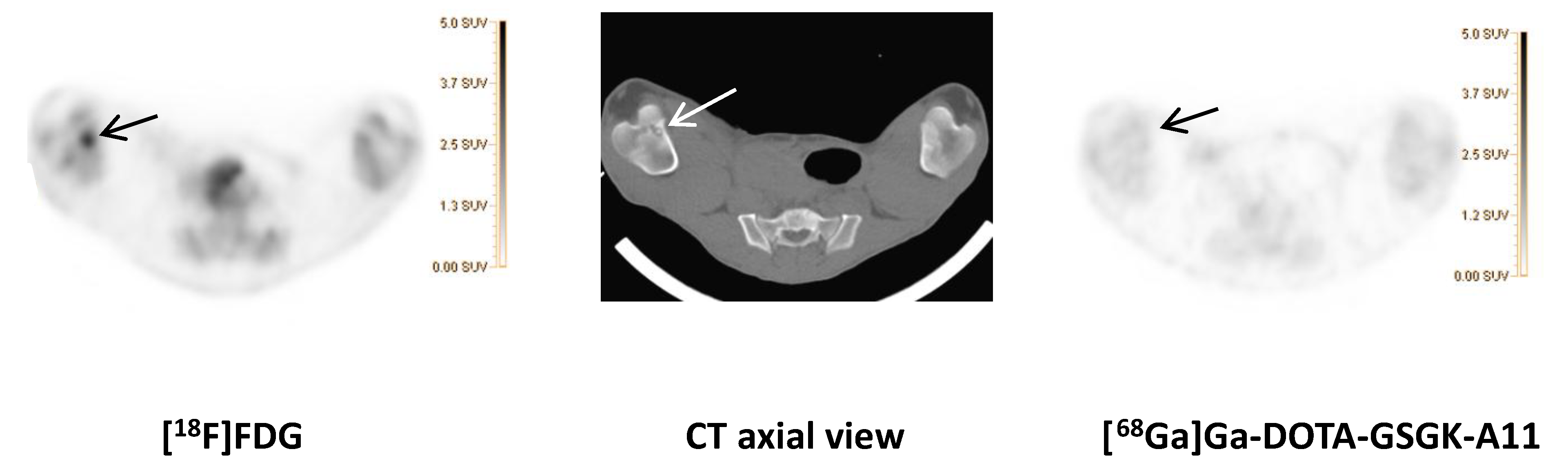 Molecules 25 04329 g002