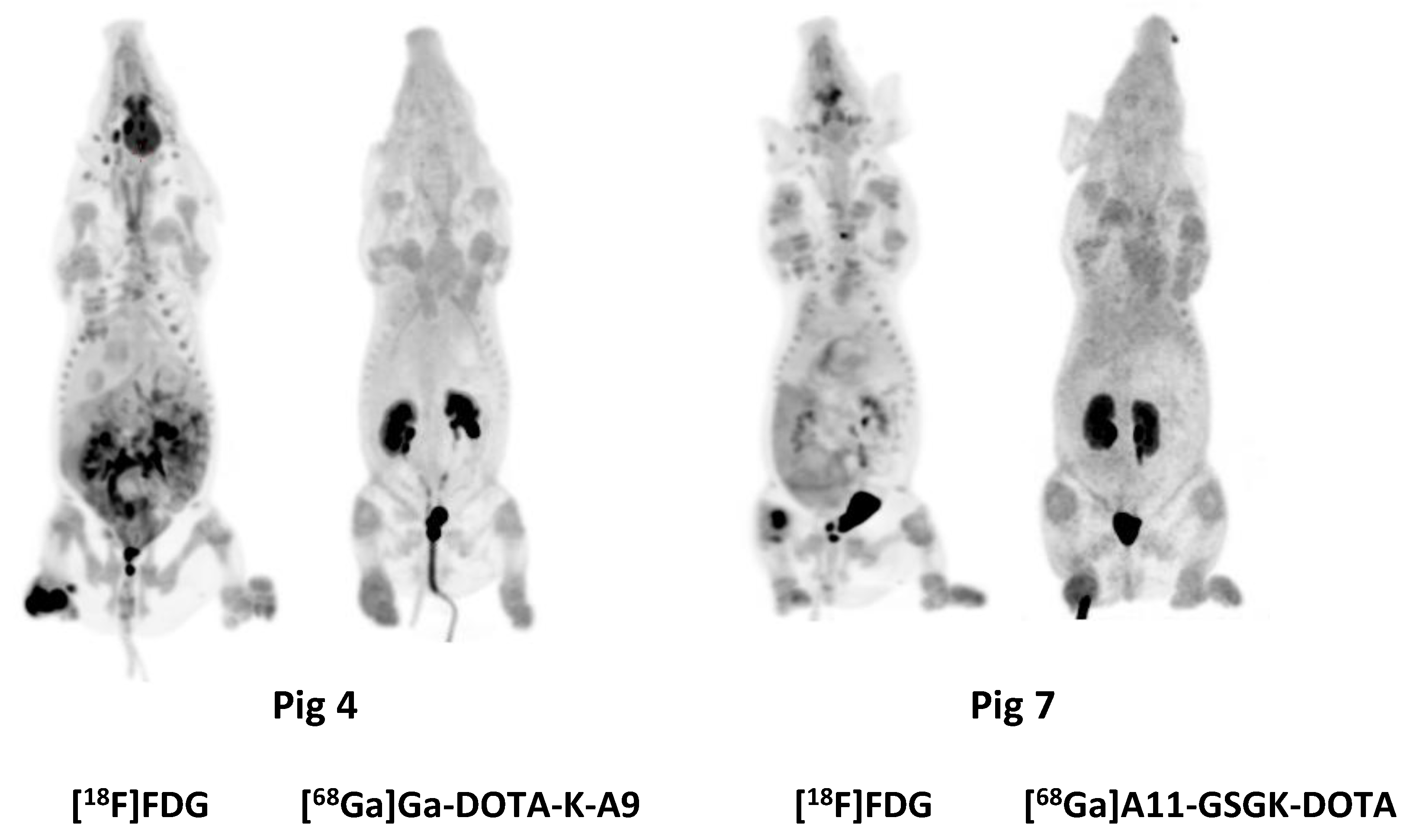 Molecules 25 04329 g003