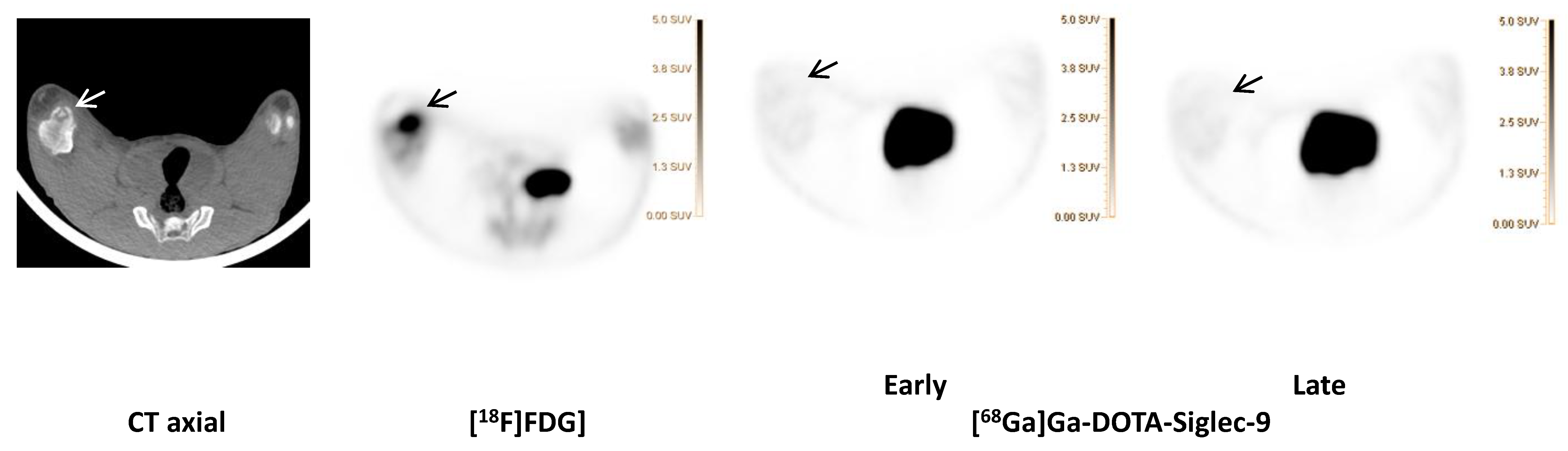 Molecules 25 04329 g006