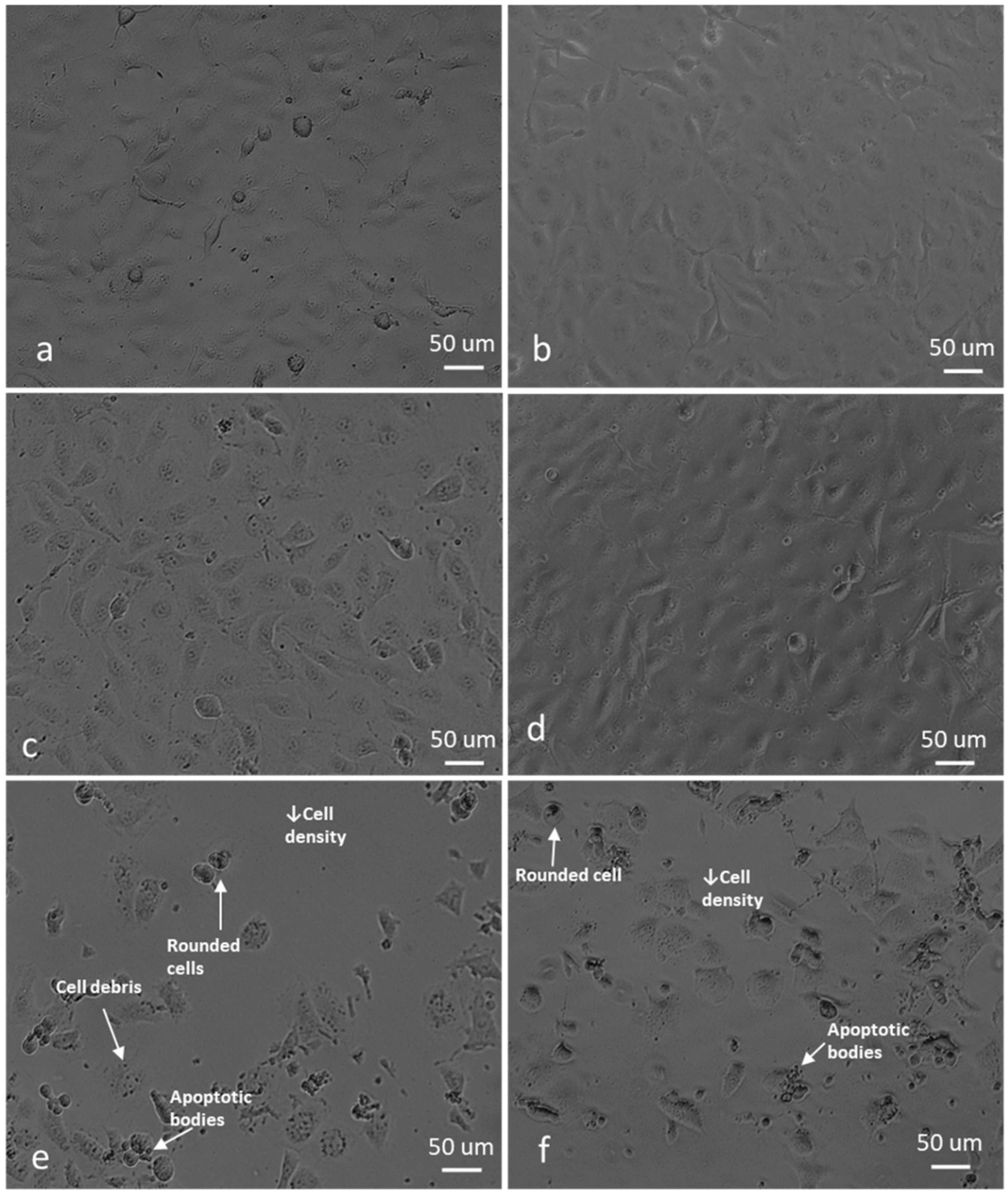Molecules 25 04337 g010 Molecules 25 04337 g010