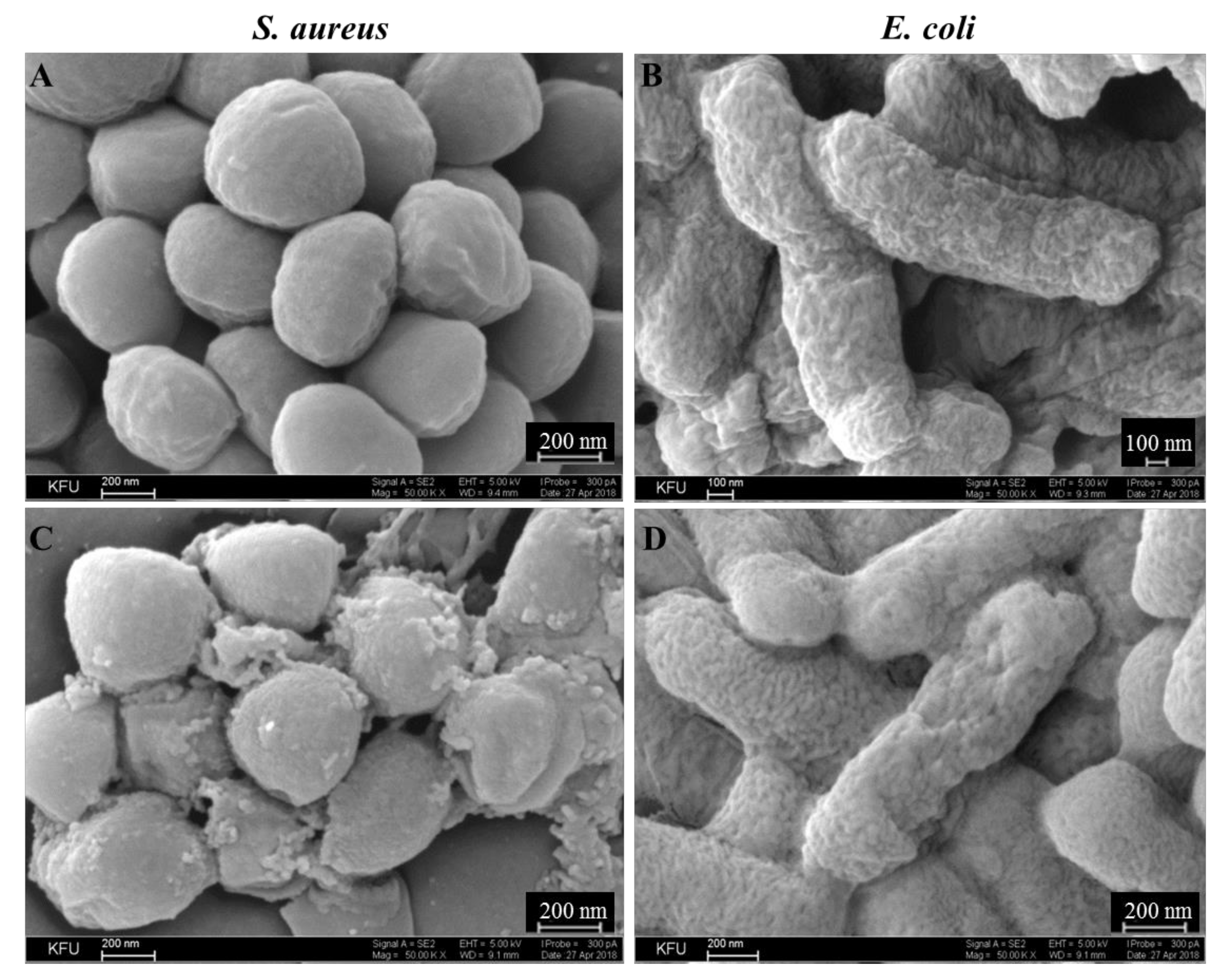 Molecules 25 04341 g006