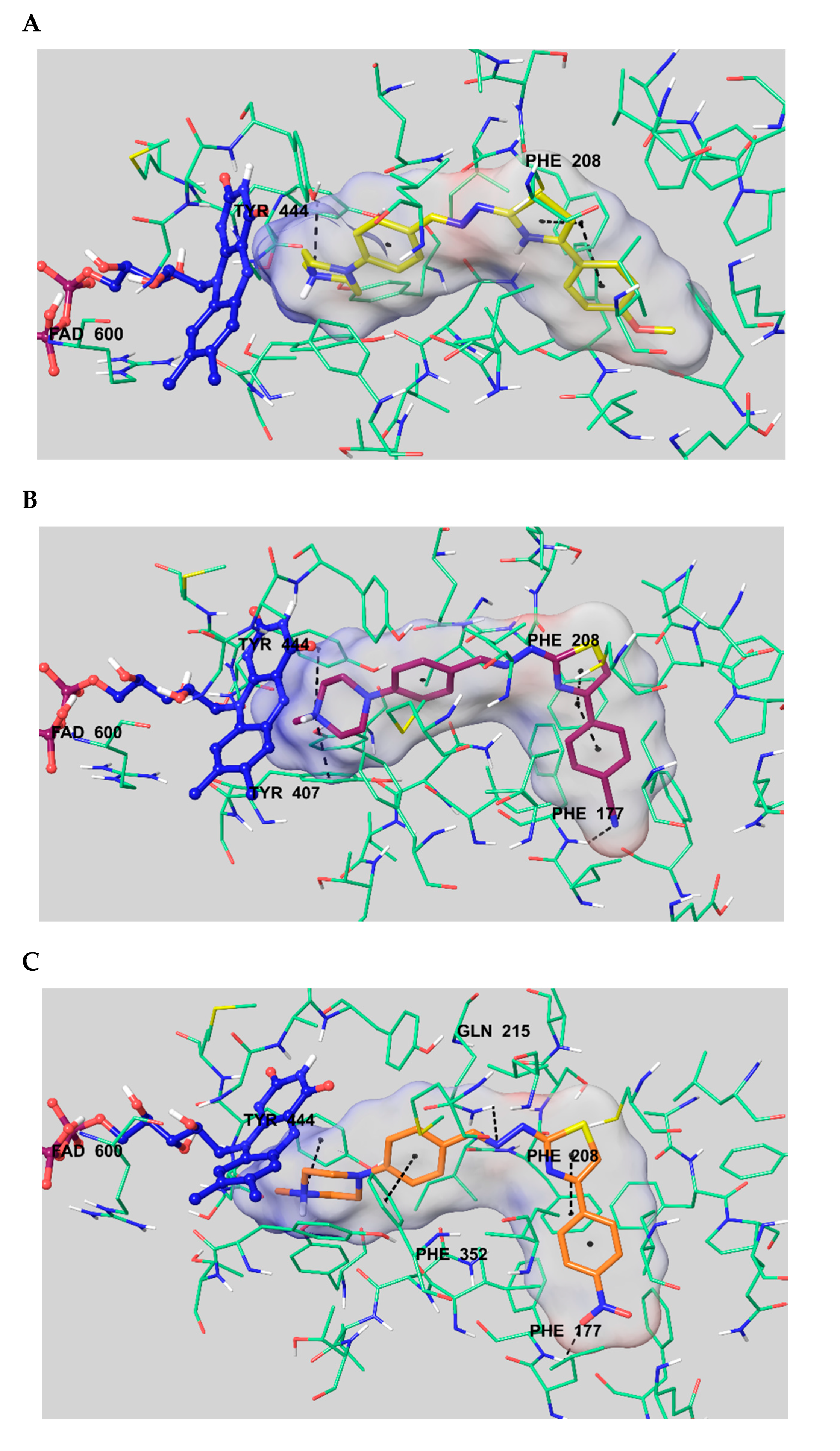 Molecules 25 04342 g004