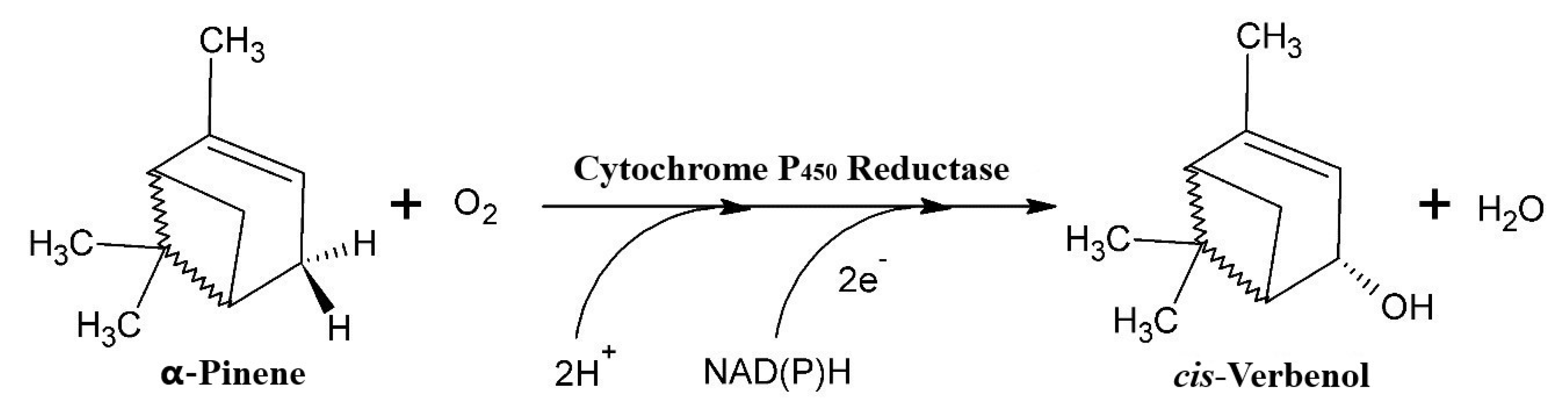 Molecules 25 04344 g002