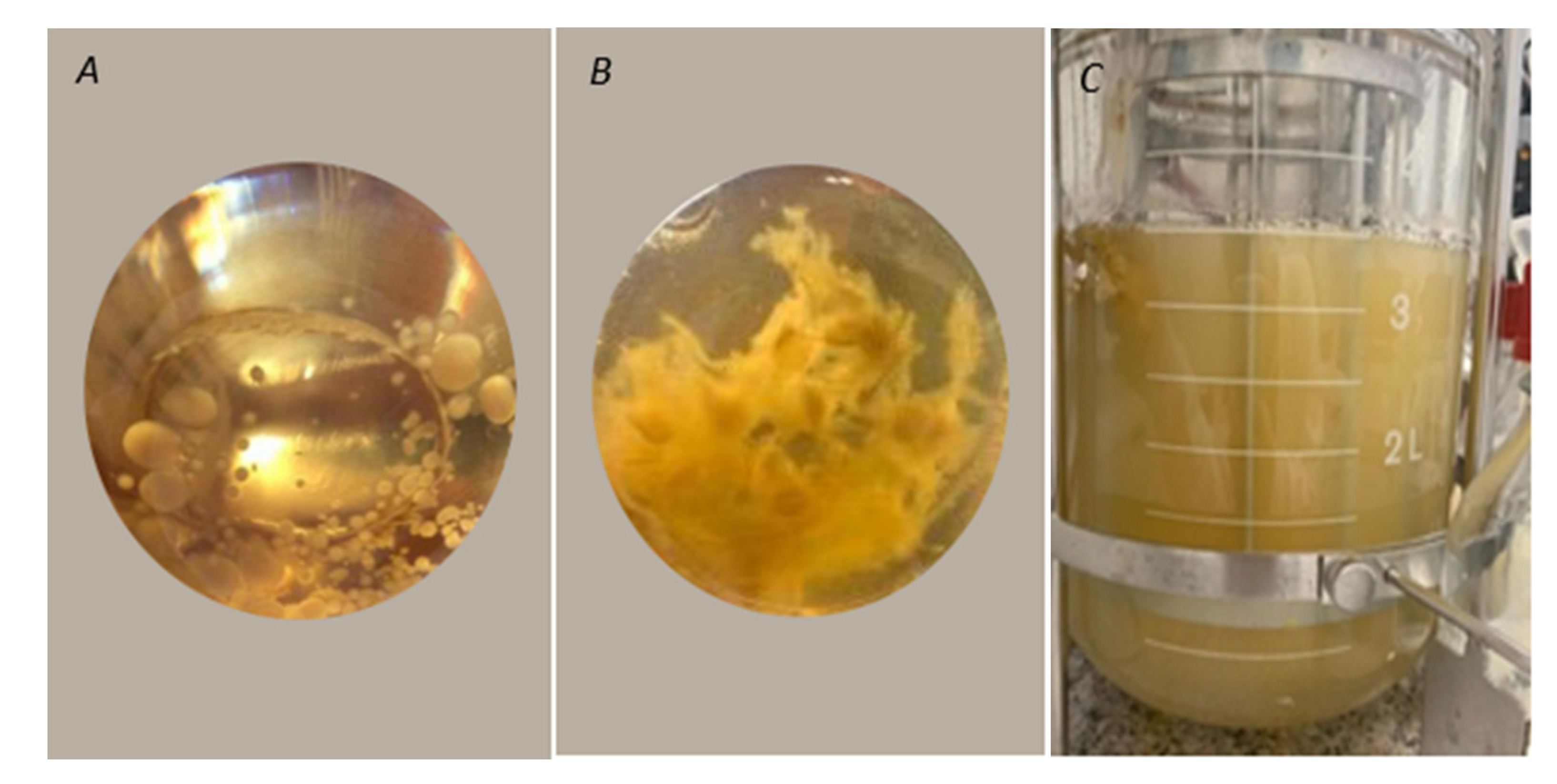 Molecules 25 04344 g004
