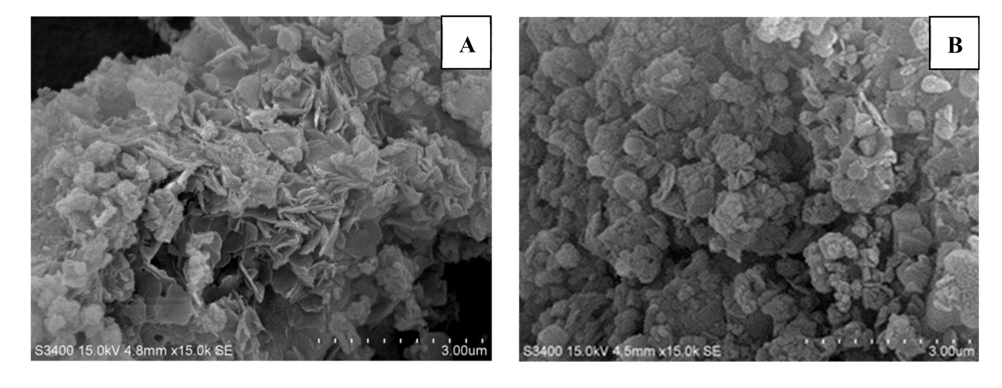 Molecules 25 04355 g005