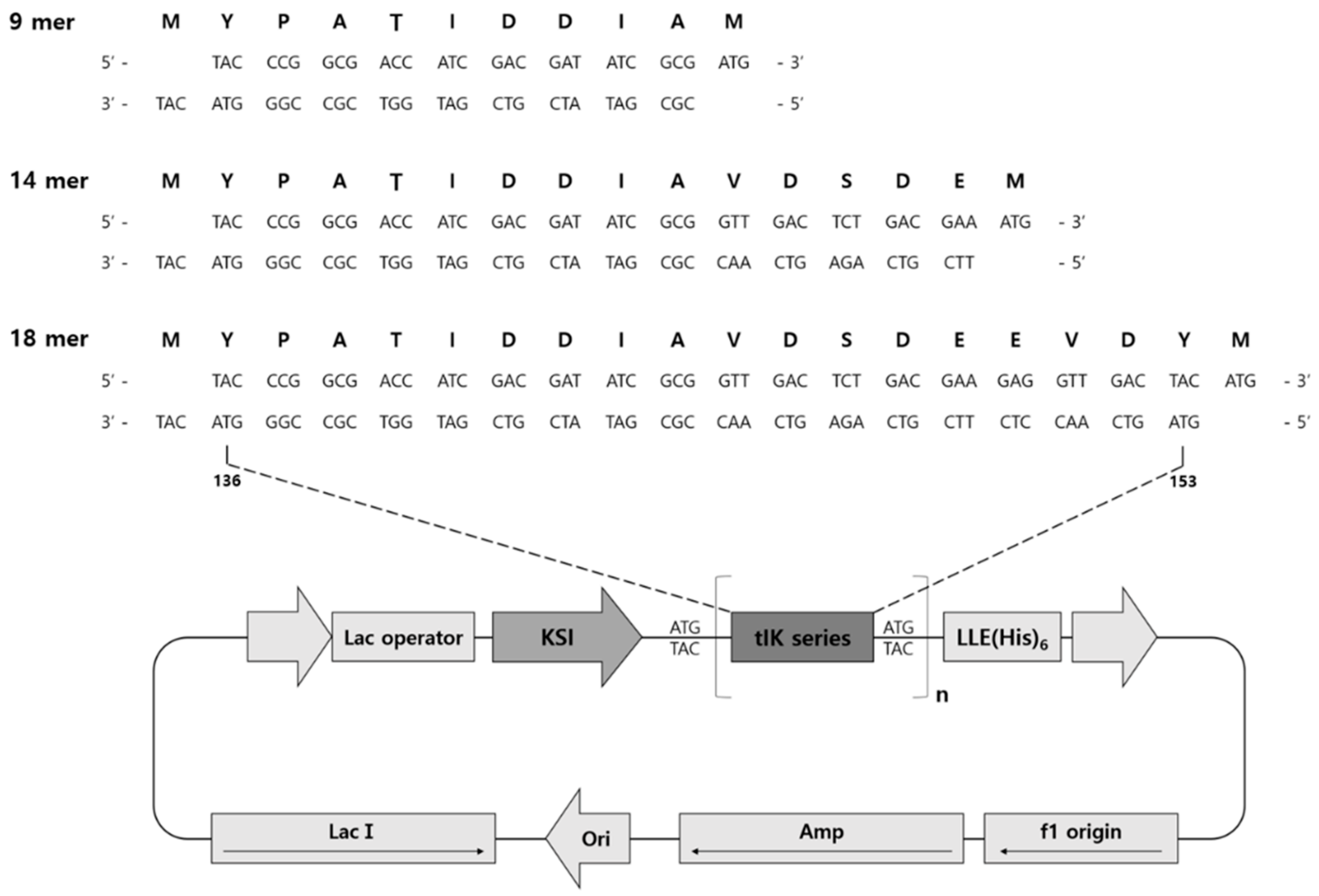 Molecules 25 04358 g004
