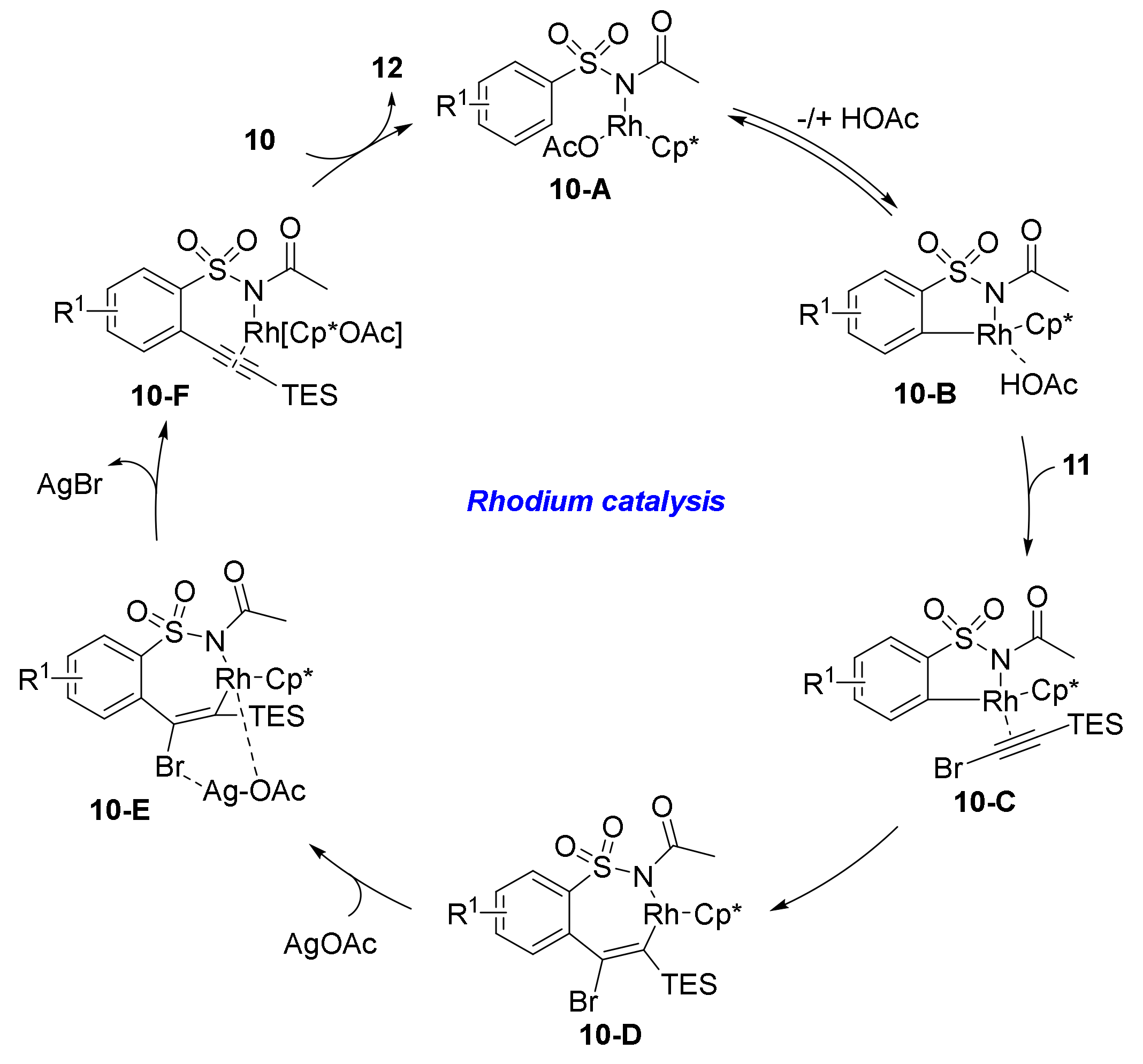 Molecules 25 04367 sch006