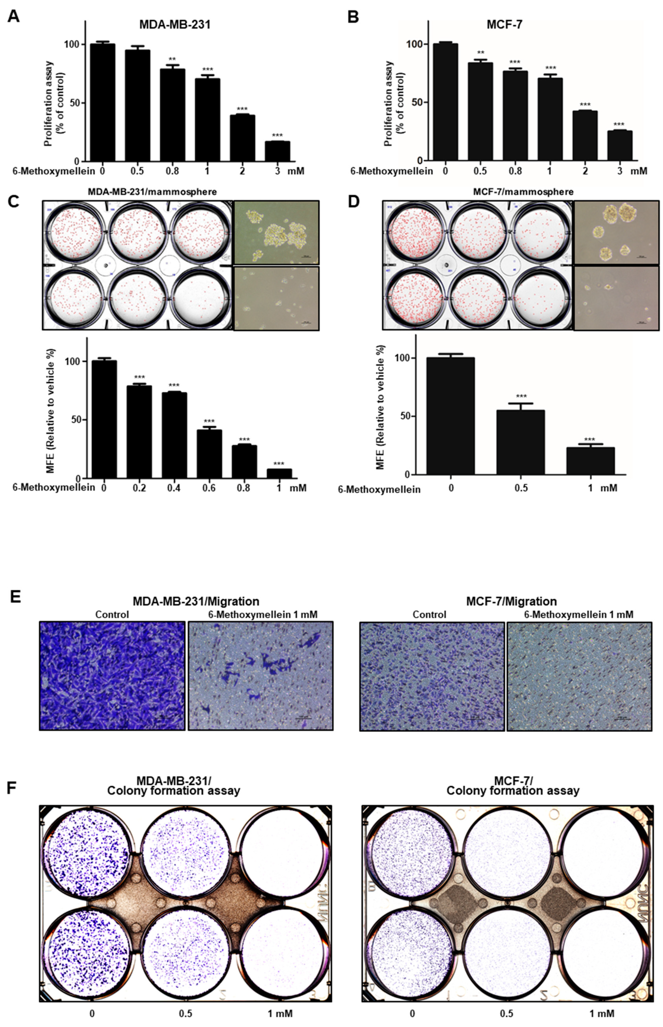 Molecules 25 04374 g003 Molecules 25 04374 g003