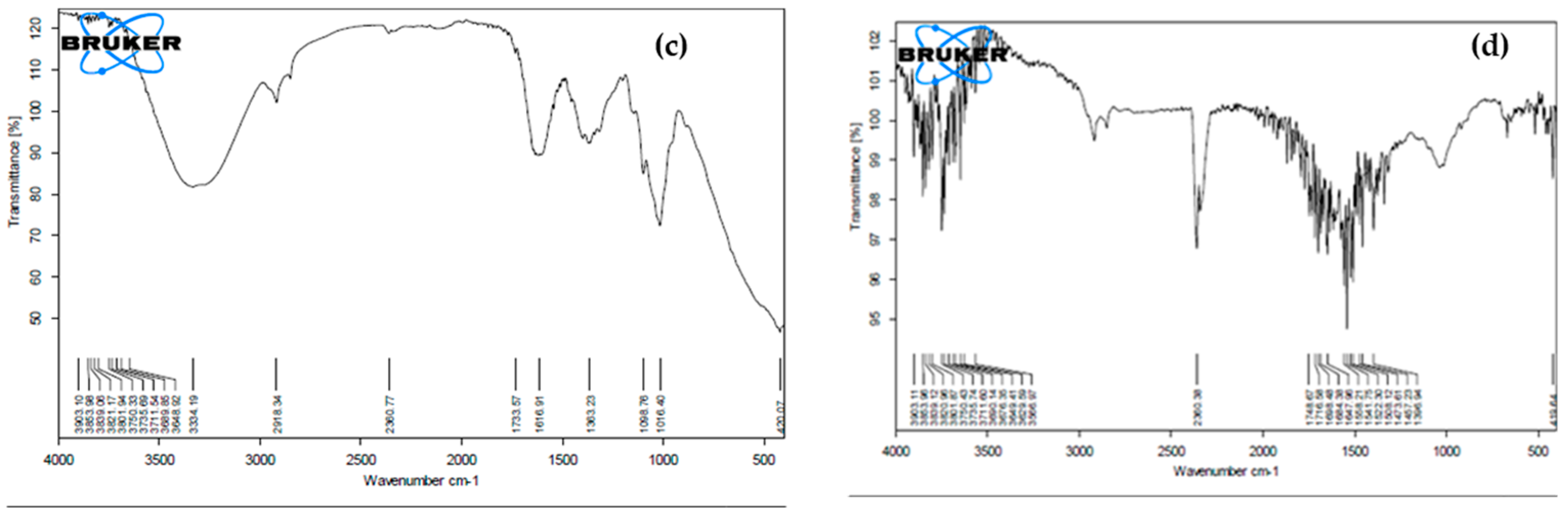 Molecules 25 04380 g003b