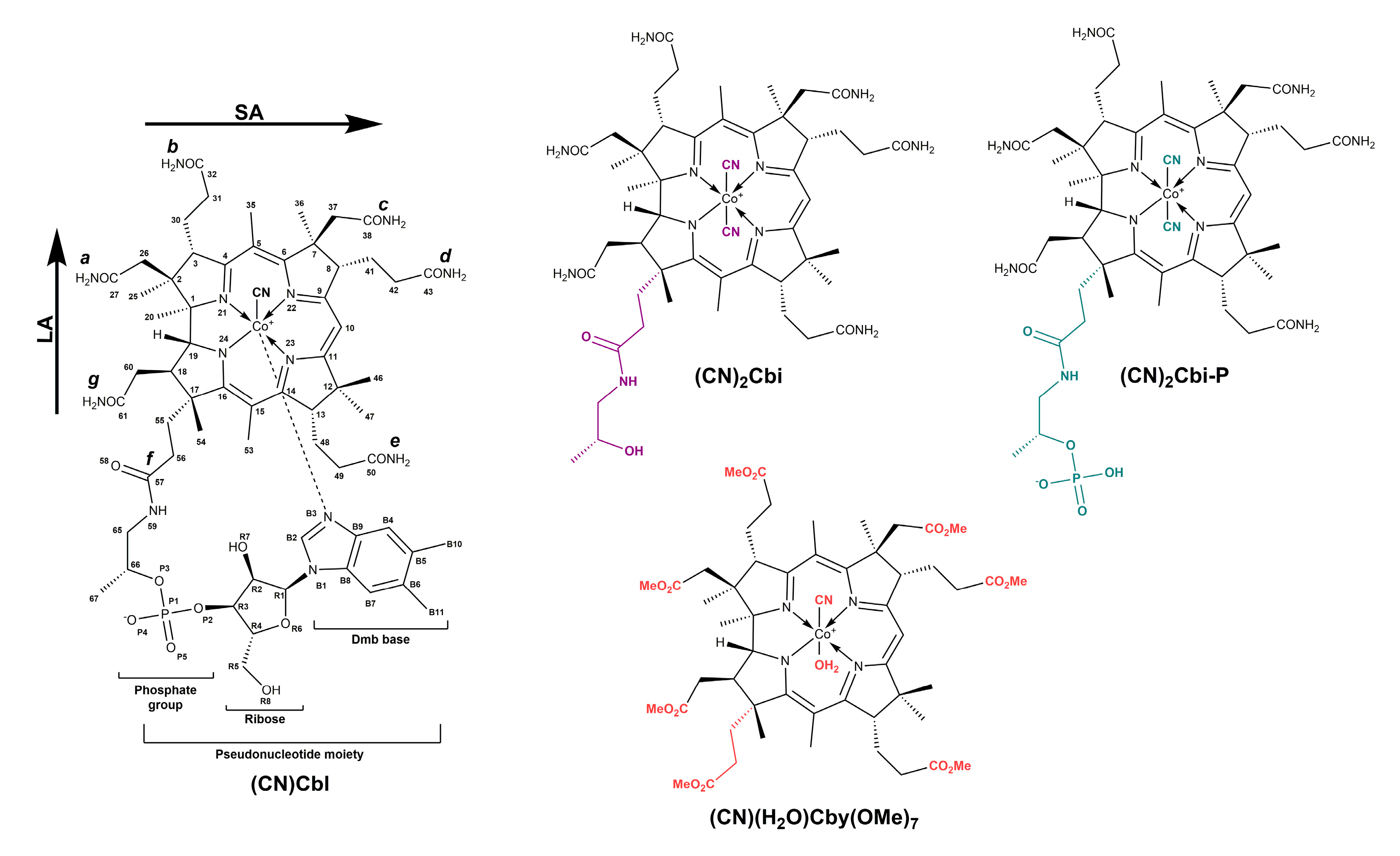 Molecules 25 04386 g001