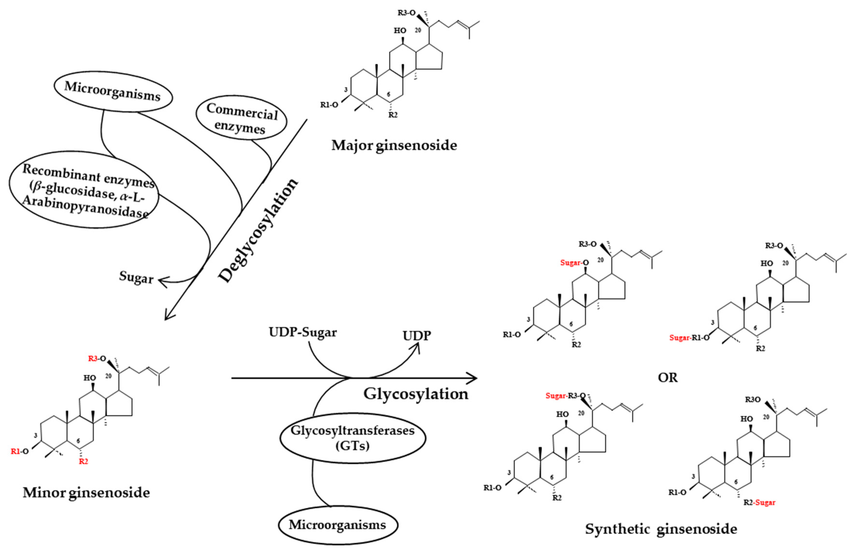 Molecules 25 04390 g004