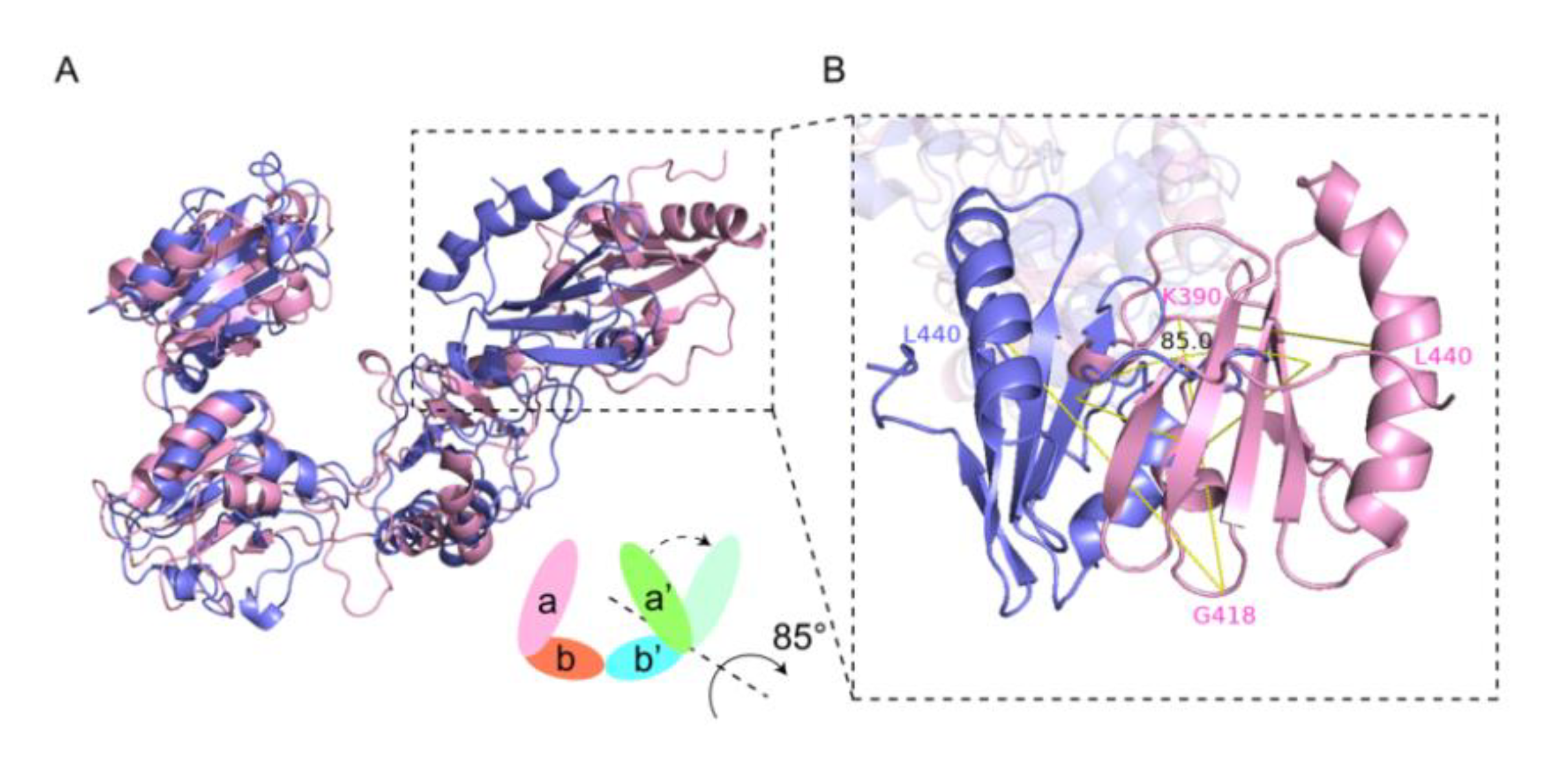 Molecules 25 04393 g003