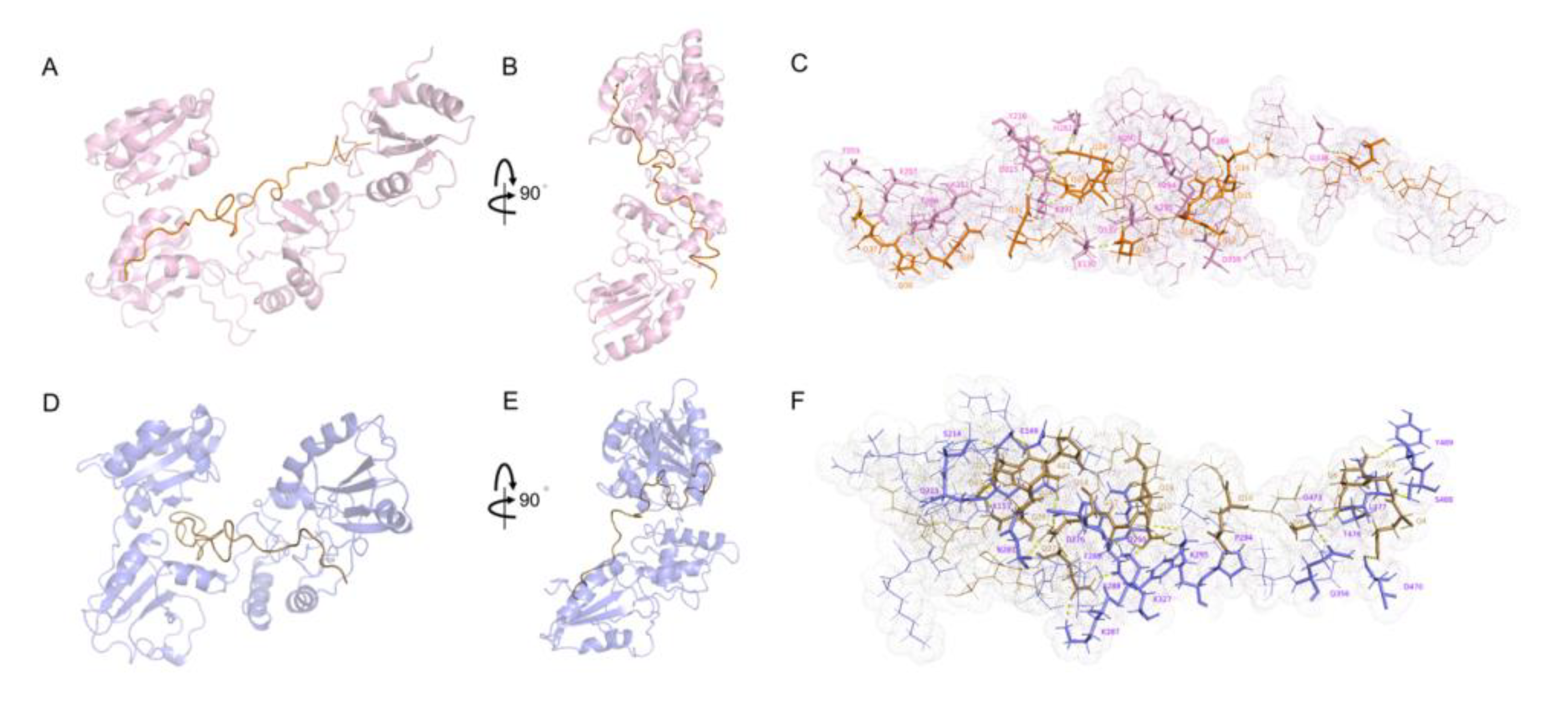 Molecules 25 04393 g005