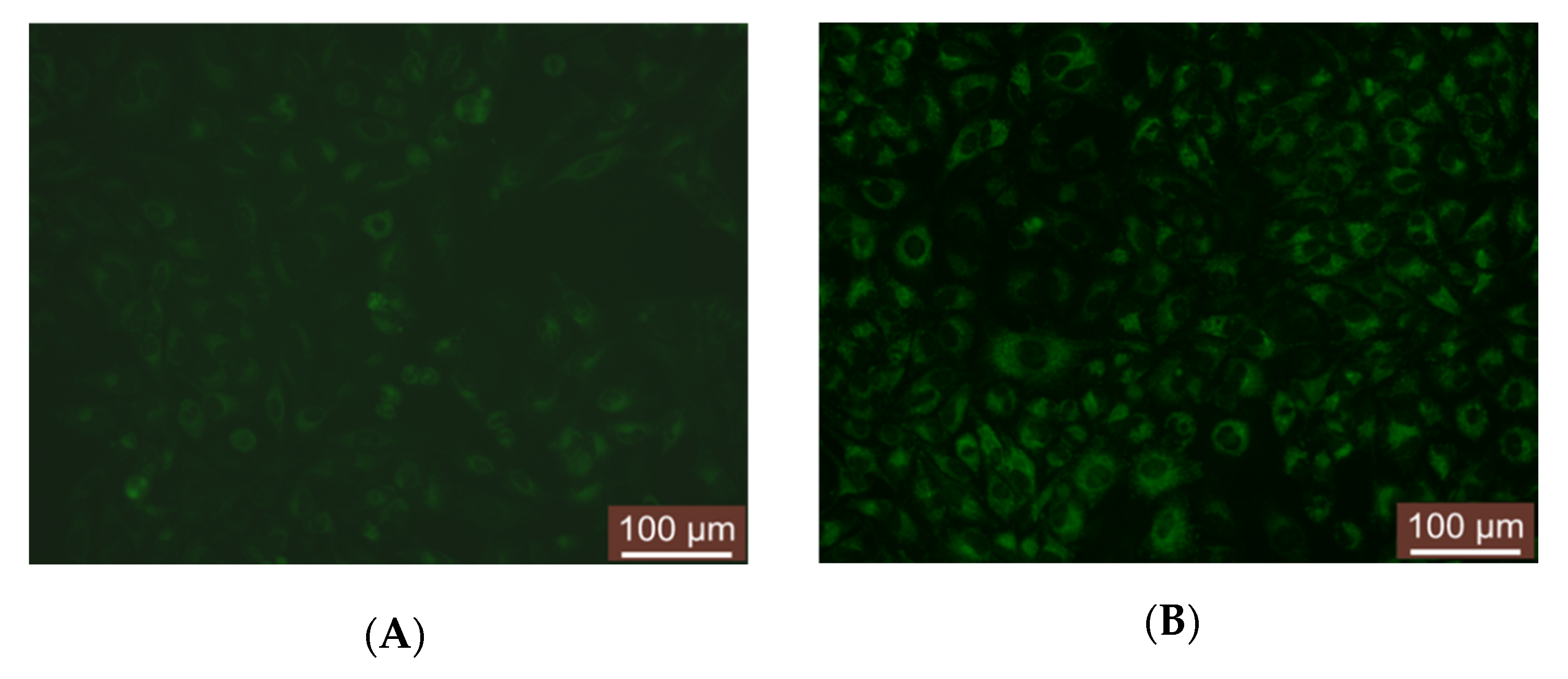 Molecules 25 04397 g006