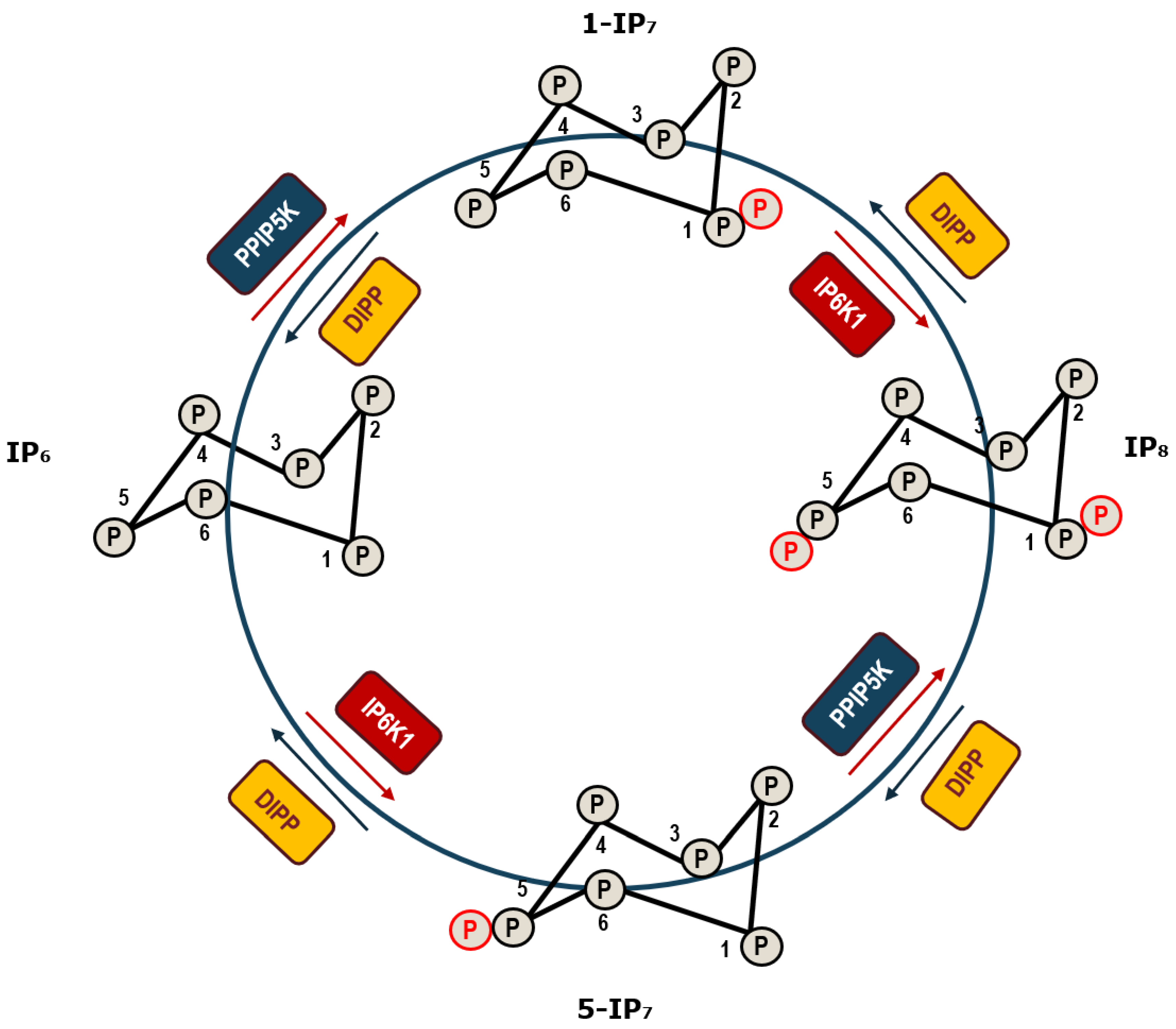 Molecules 25 04401 g001