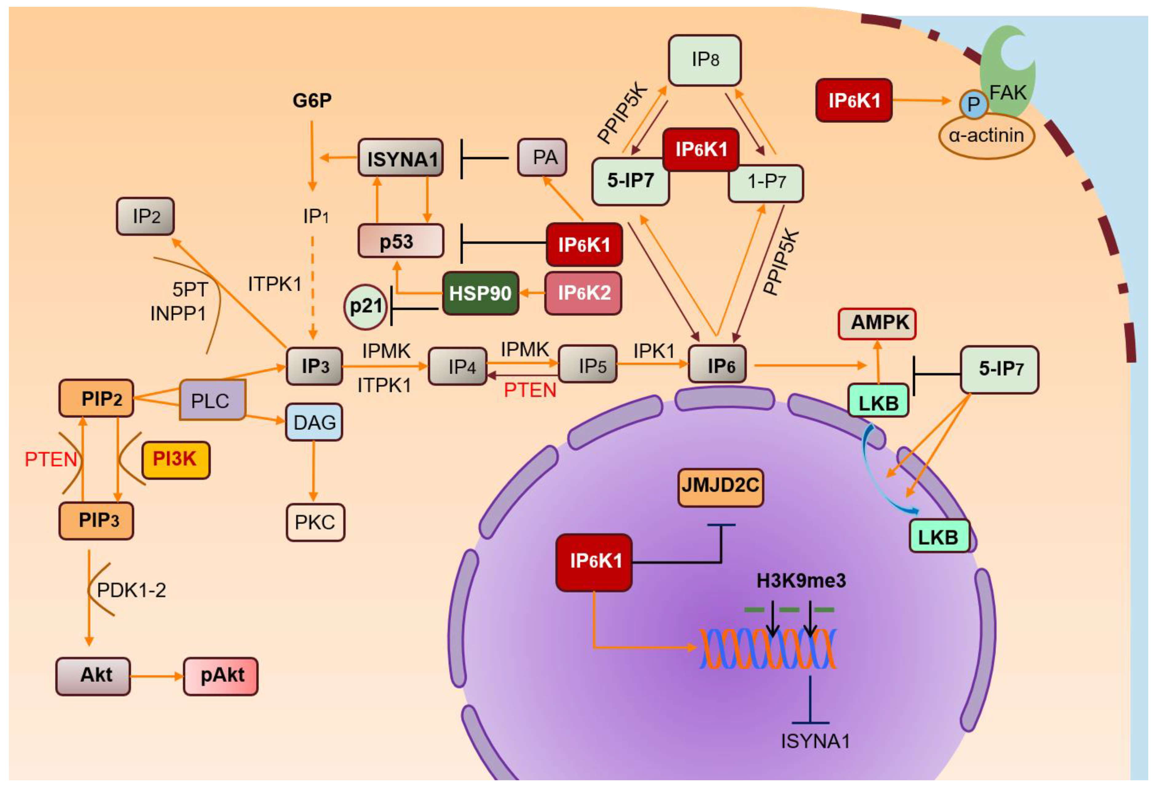 Molecules 25 04401 g002