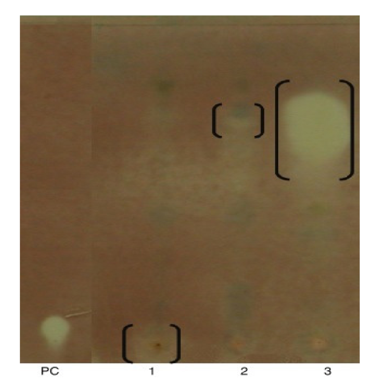 Molecules 25 04411 g004 Molecules 25 04411 g004