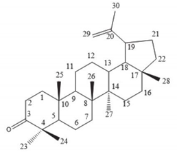 Molecules 25 04435 i009
