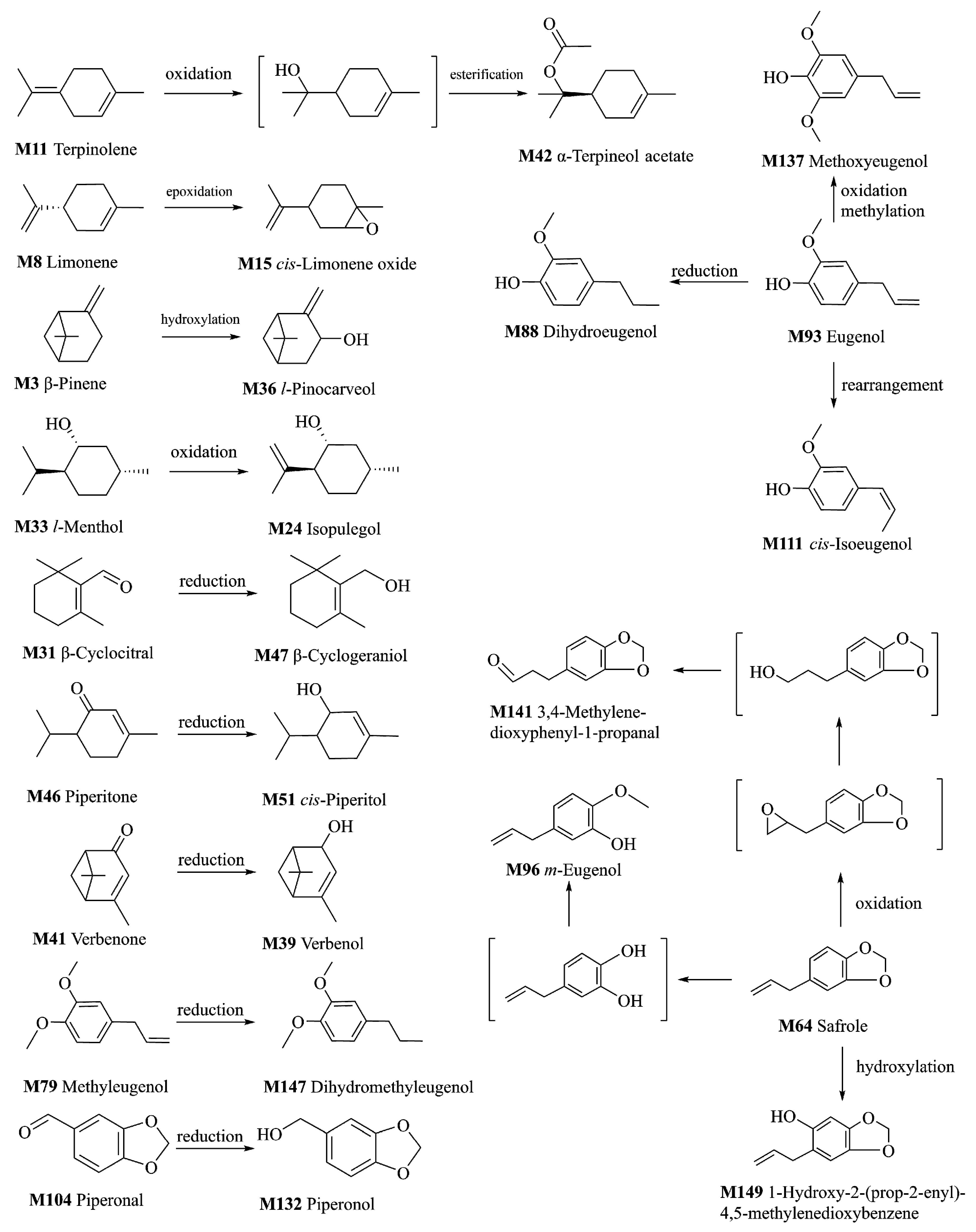 Molecules 25 04441 g004 Molecules 25 04441 g004