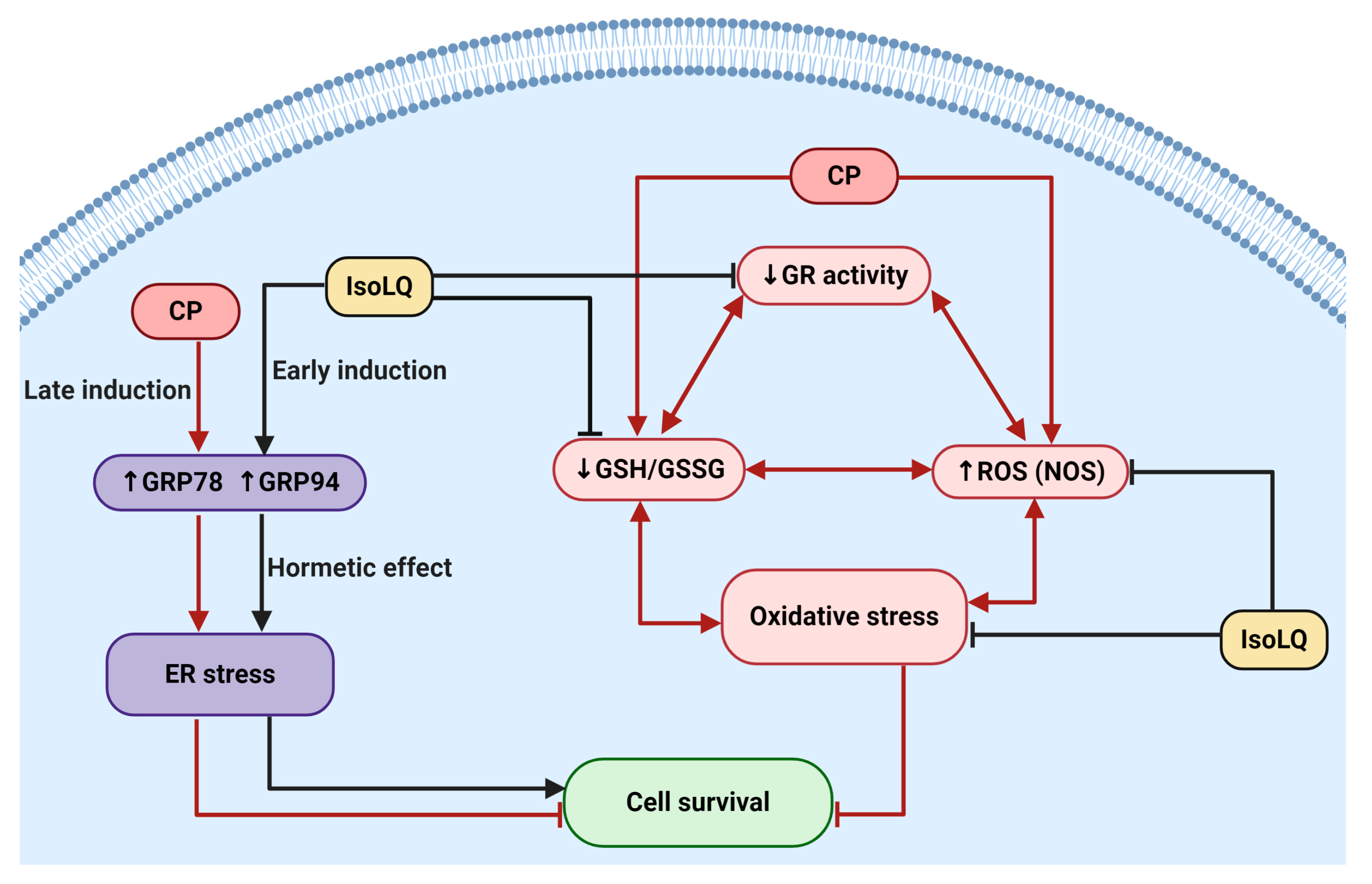 Molecules 25 04442 g008