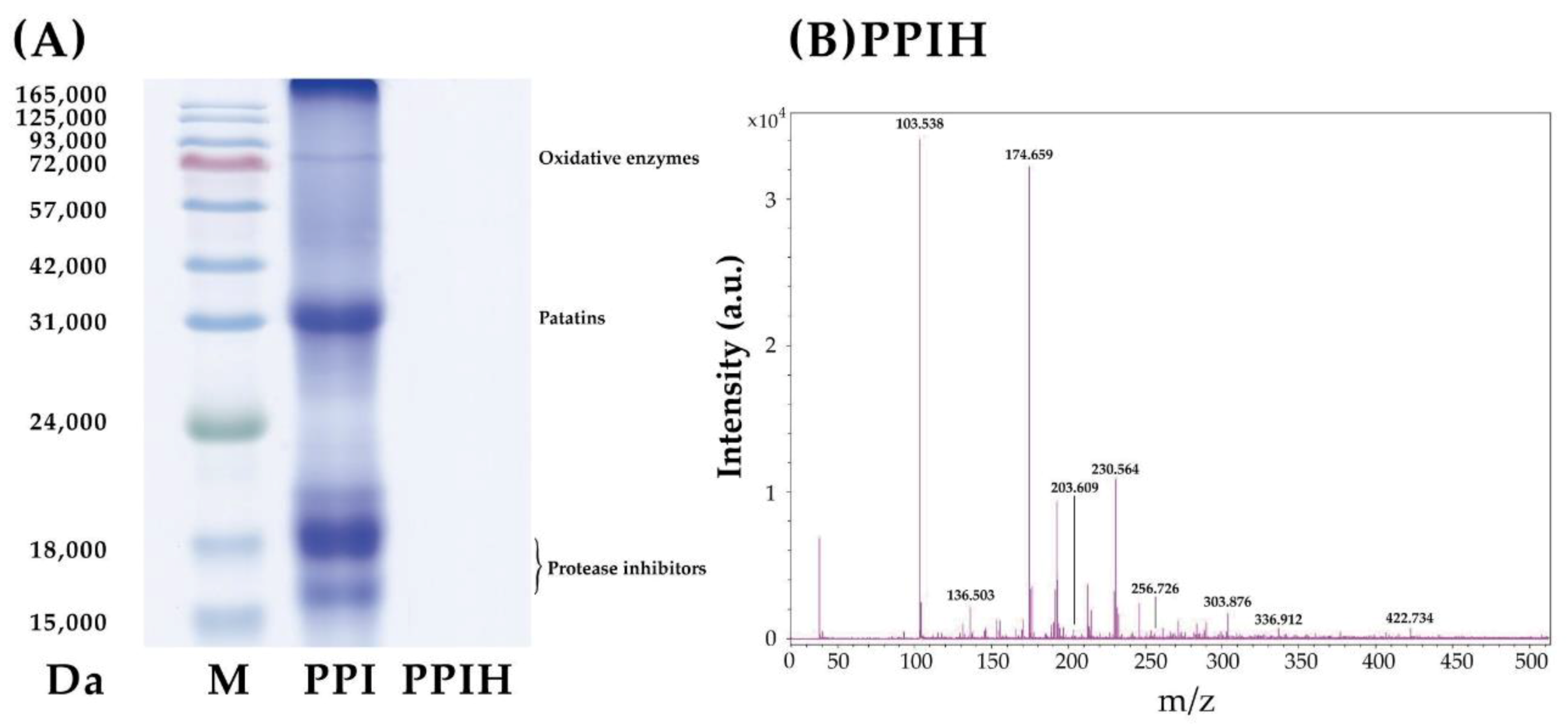 Molecules 25 04450 g004 Molecules 25 04450 g004
