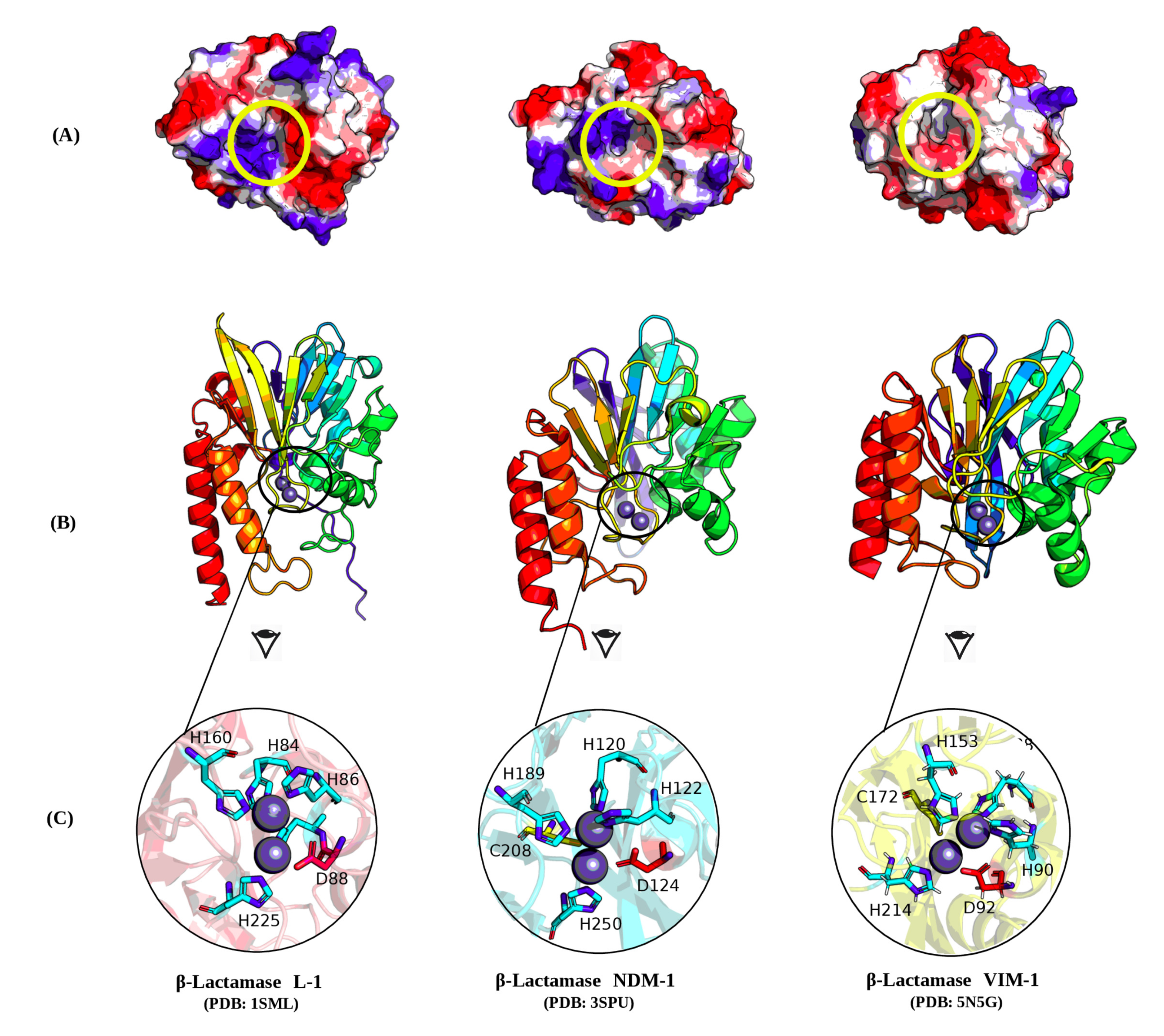Molecules 25 04453 g006 Molecules 25 04453 g006