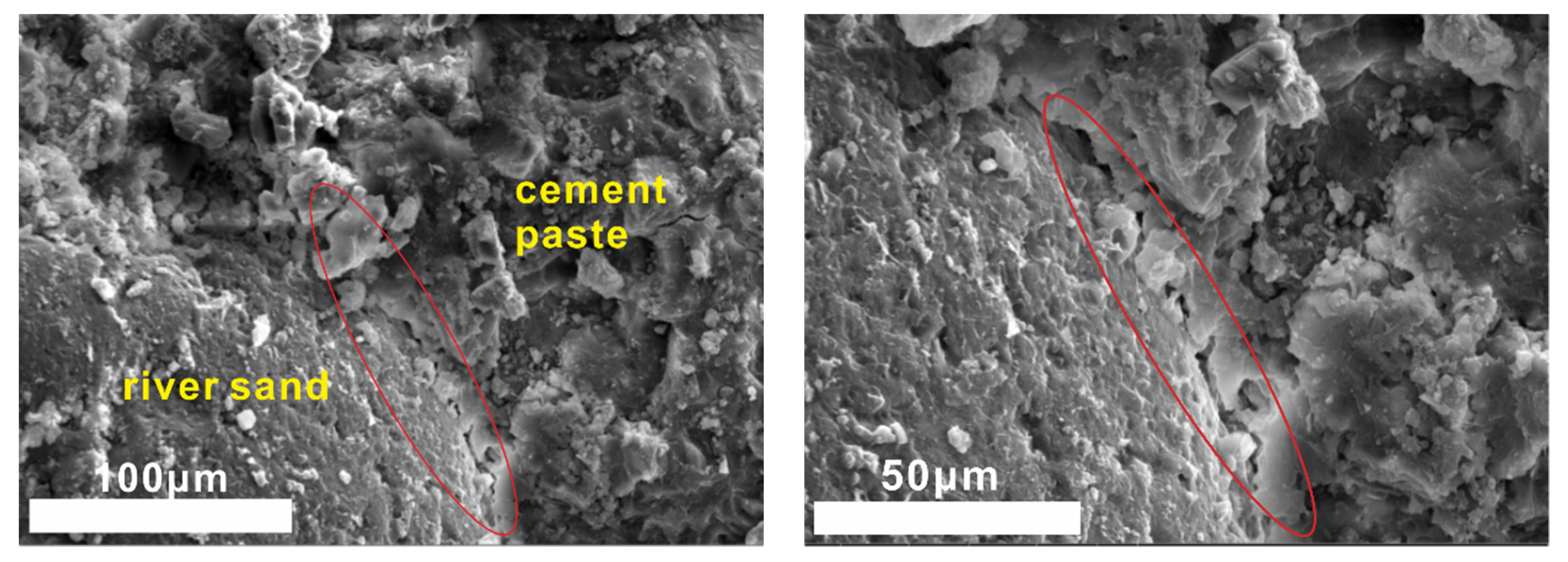 Molecules 25 04456 g013