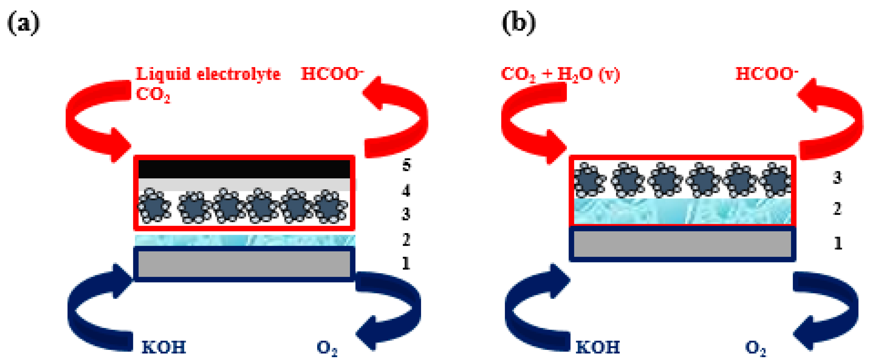 Molecules 25 04457 g005