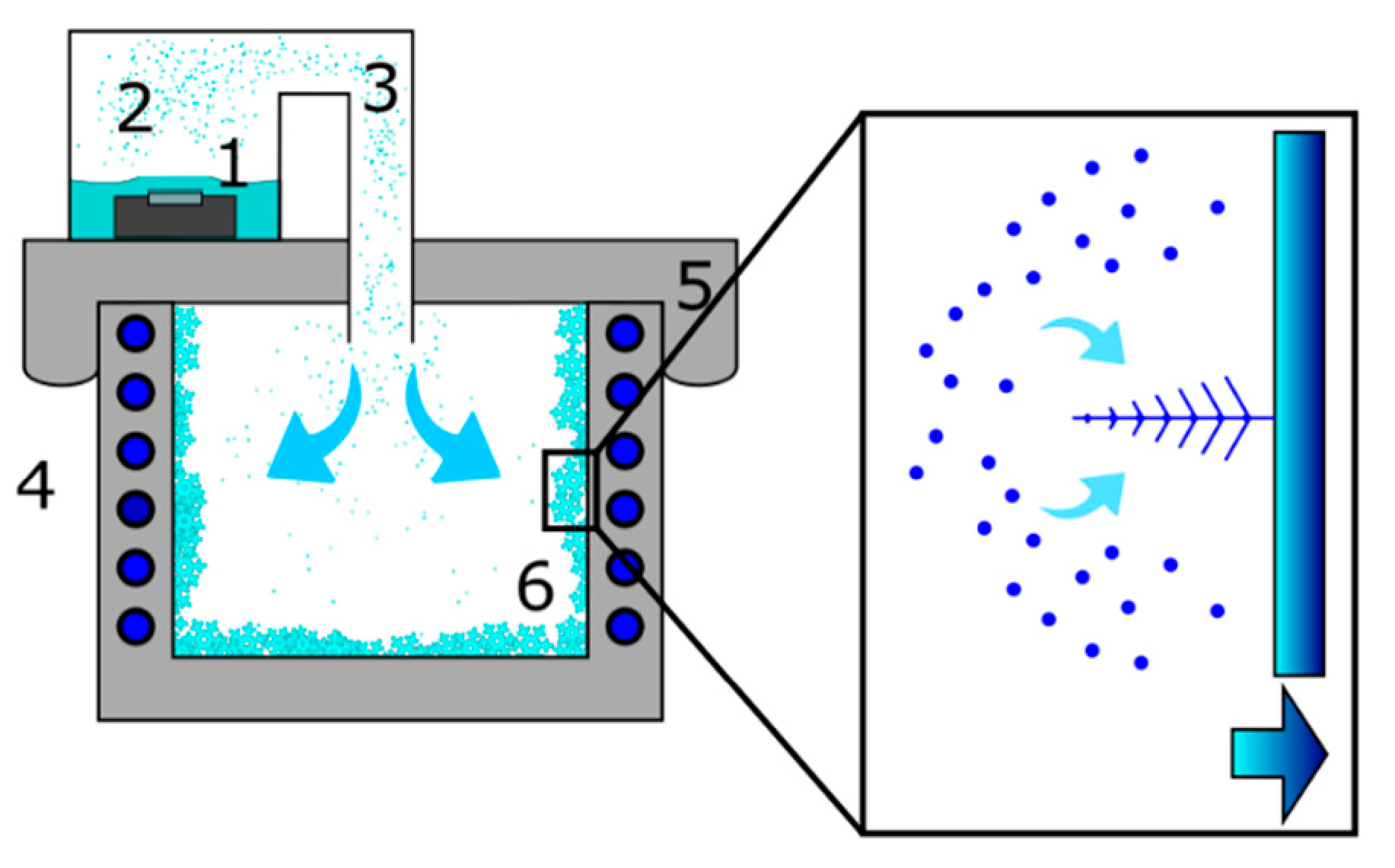 Molecules 25 04458 g004