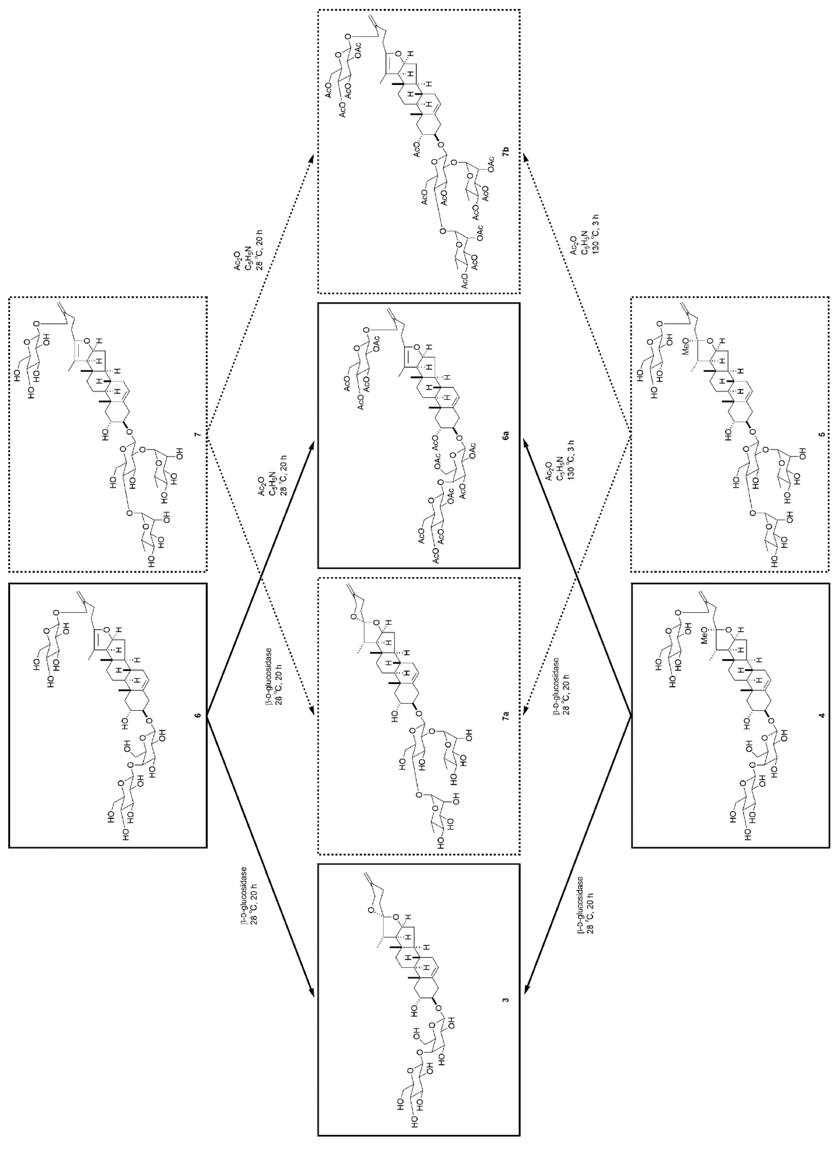 Molecules 25 04462 g004
