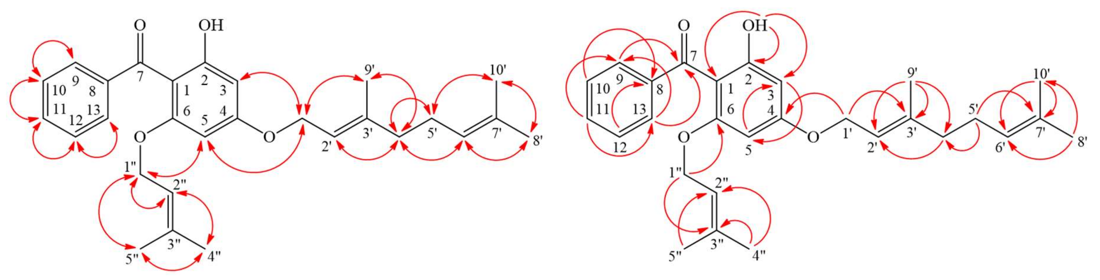 Molecules 25 04463 g003