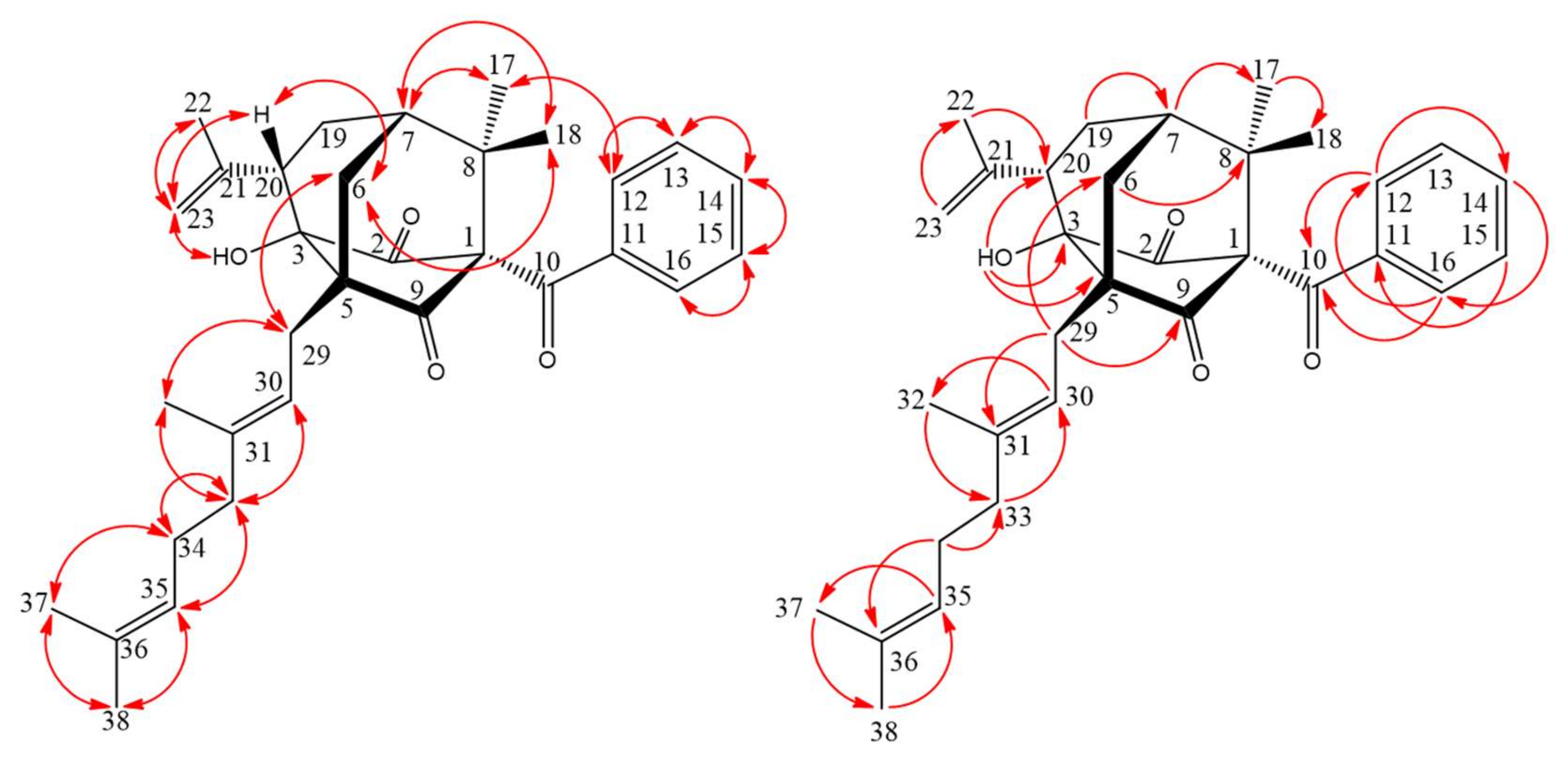 Molecules 25 04463 g005