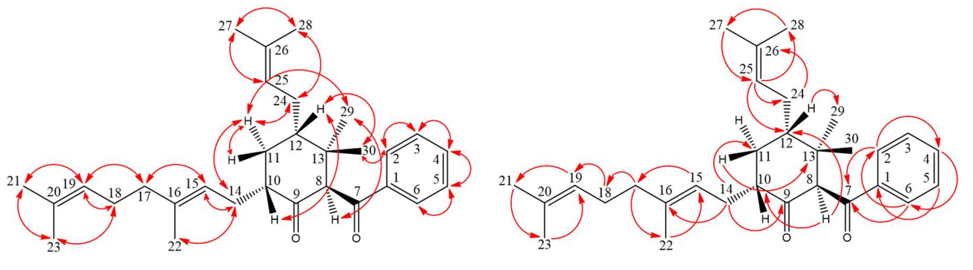 Molecules 25 04463 g007