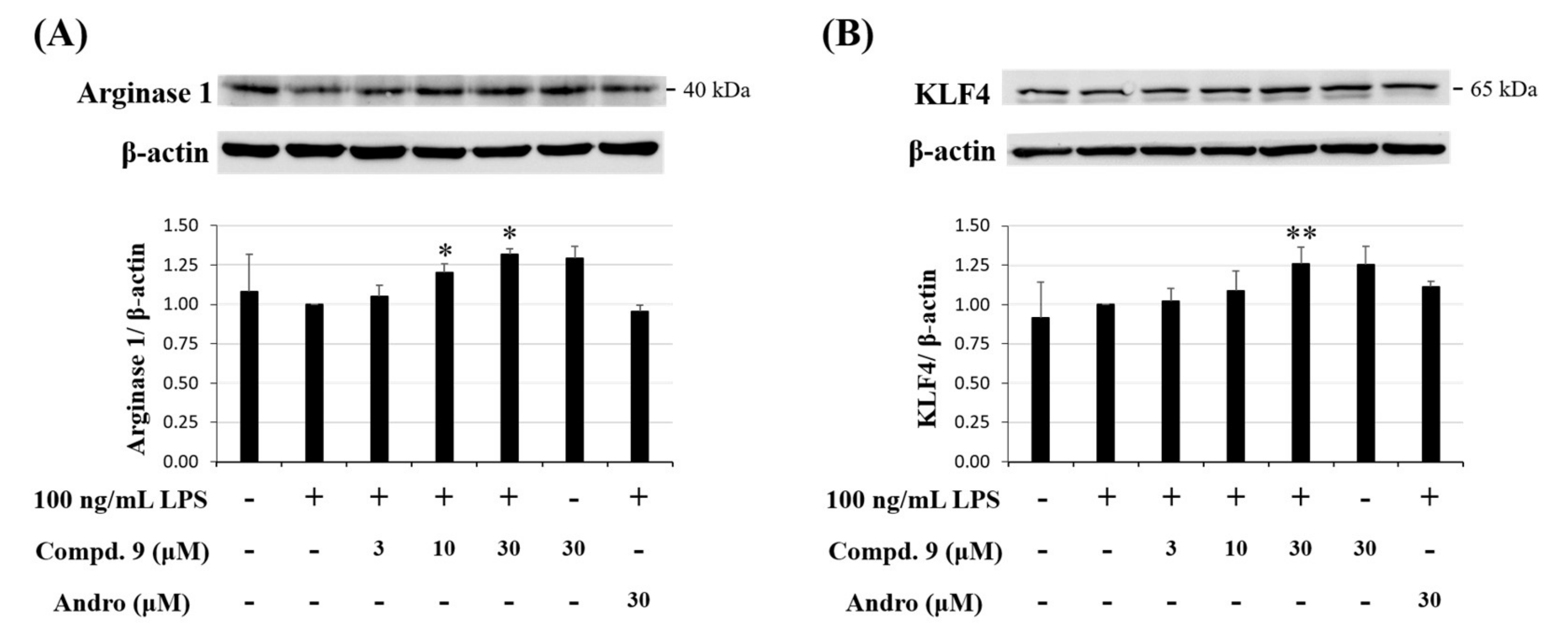 Molecules 25 04463 g010