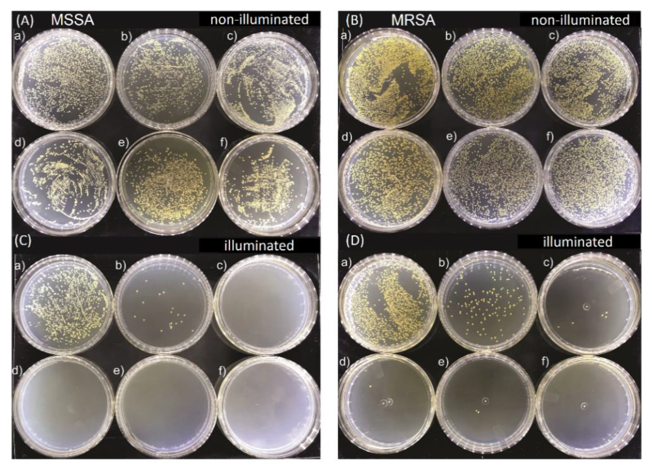Molecules 25 04464 g002