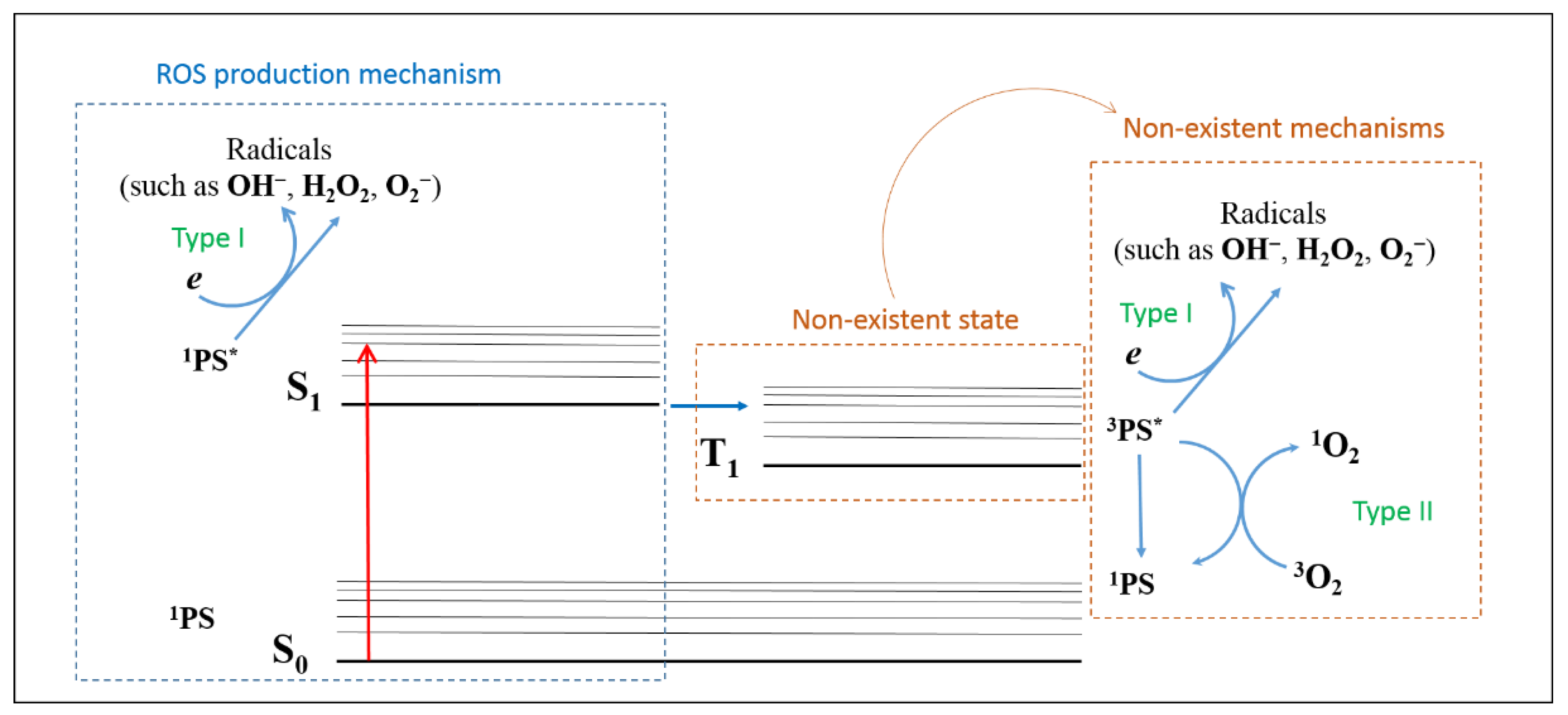 Molecules 25 04464 g007
