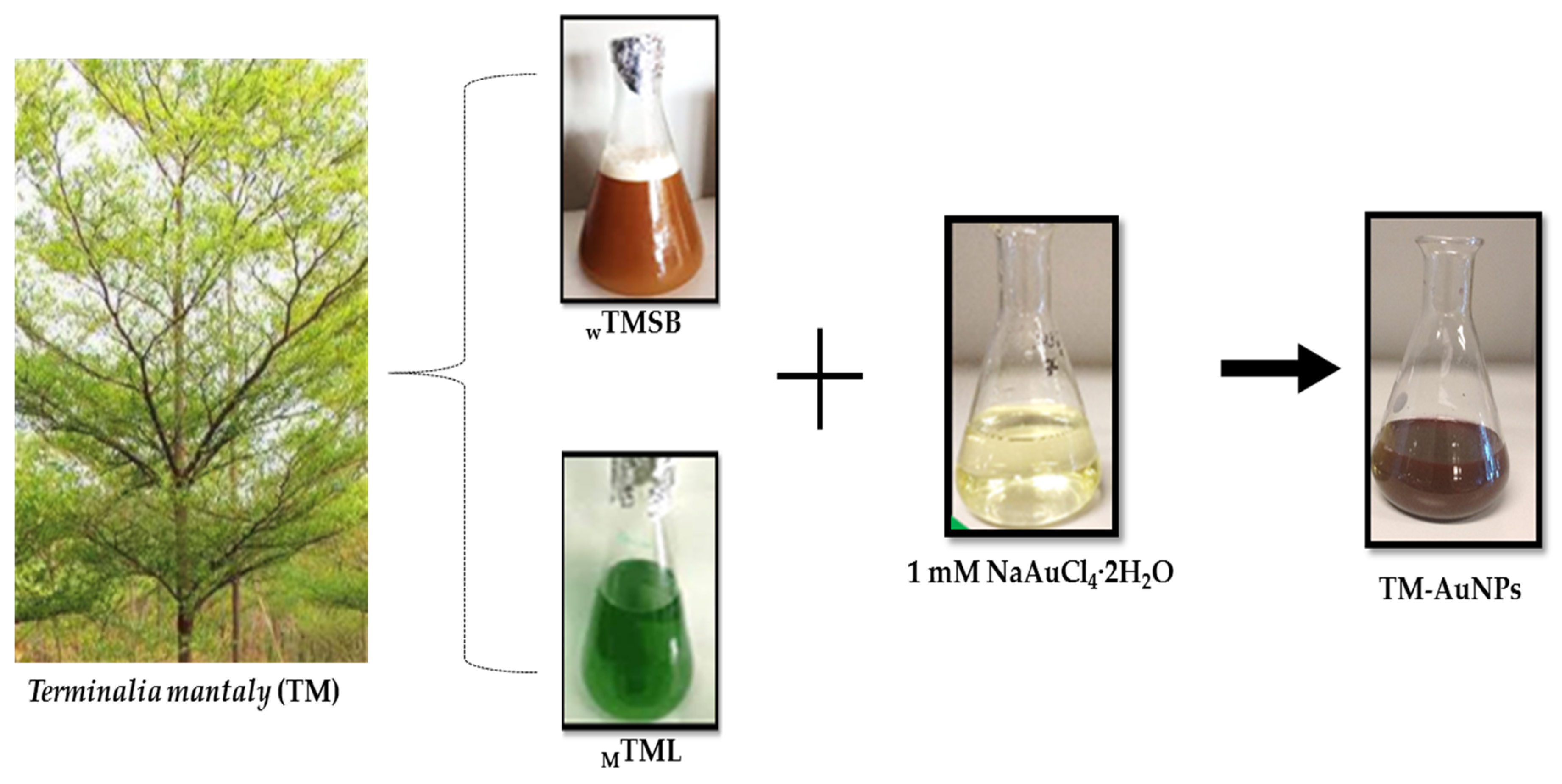 Molecules 25 04469 g001