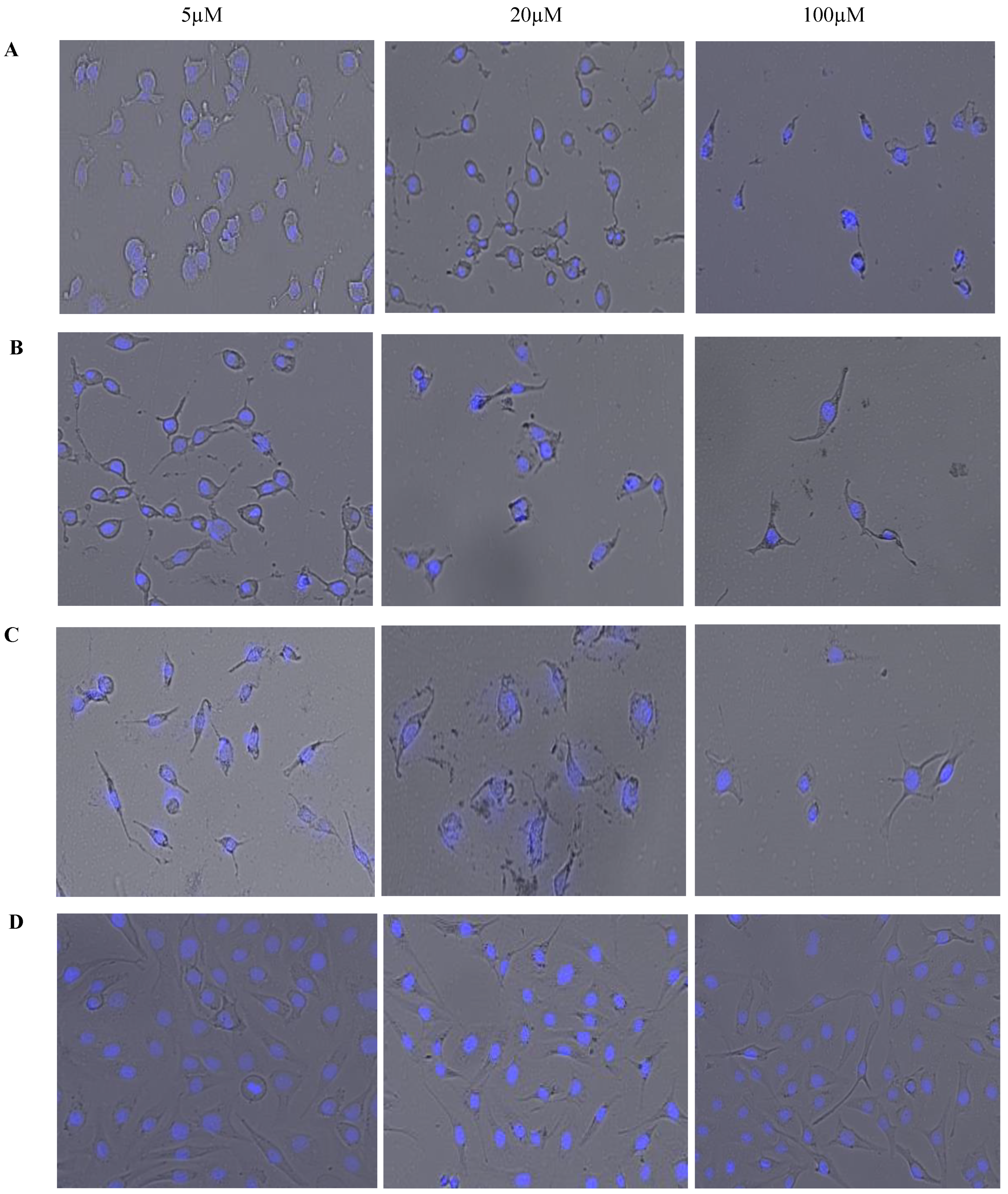 Molecules 25 04471 g006