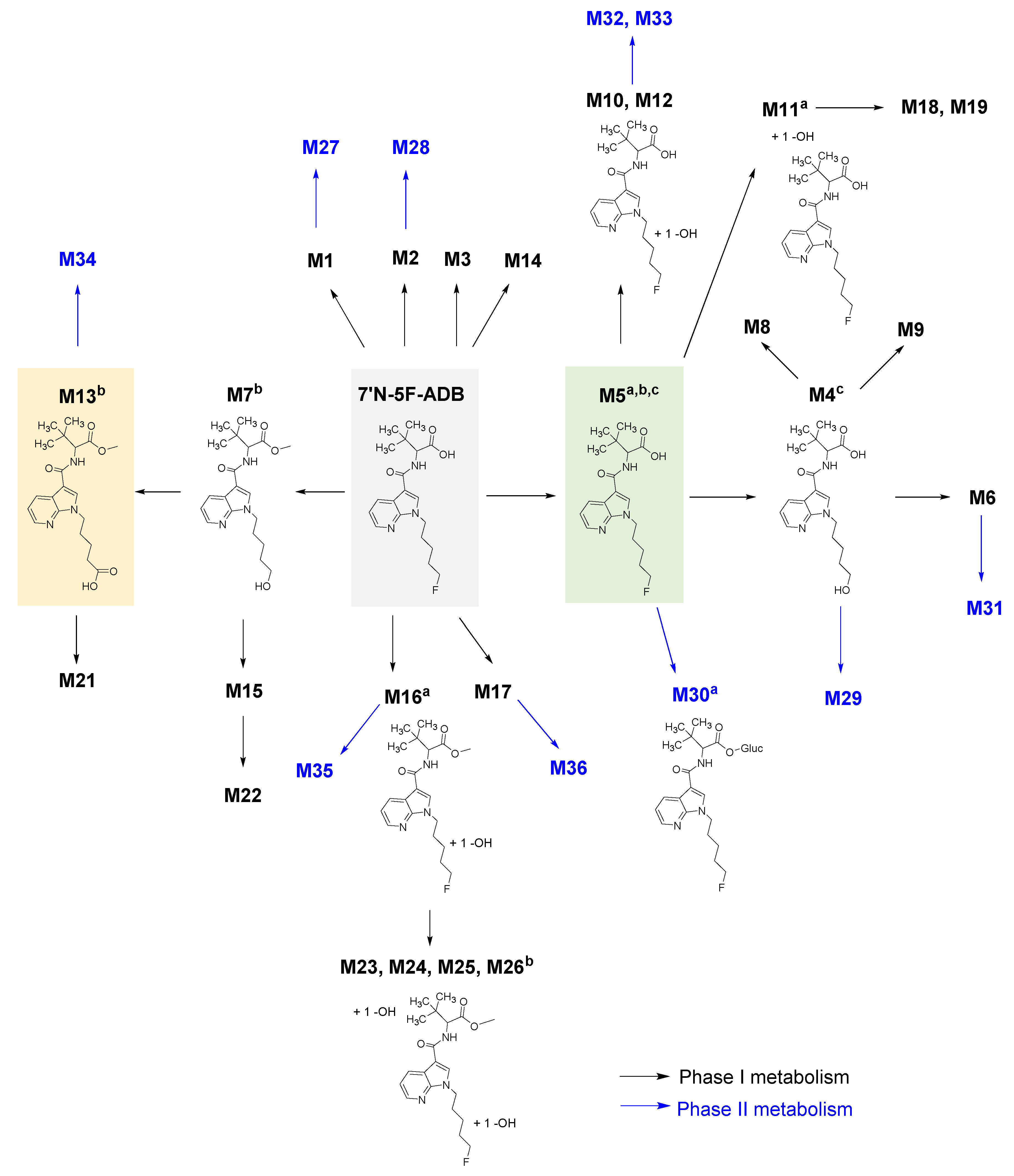 Molecules 25 04474 g005