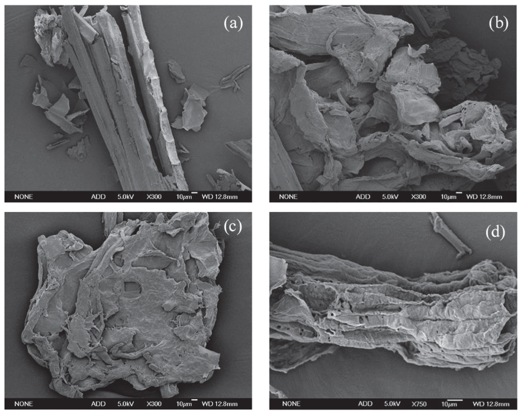 Molecules 25 04475 g006 Molecules 25 04475 g006