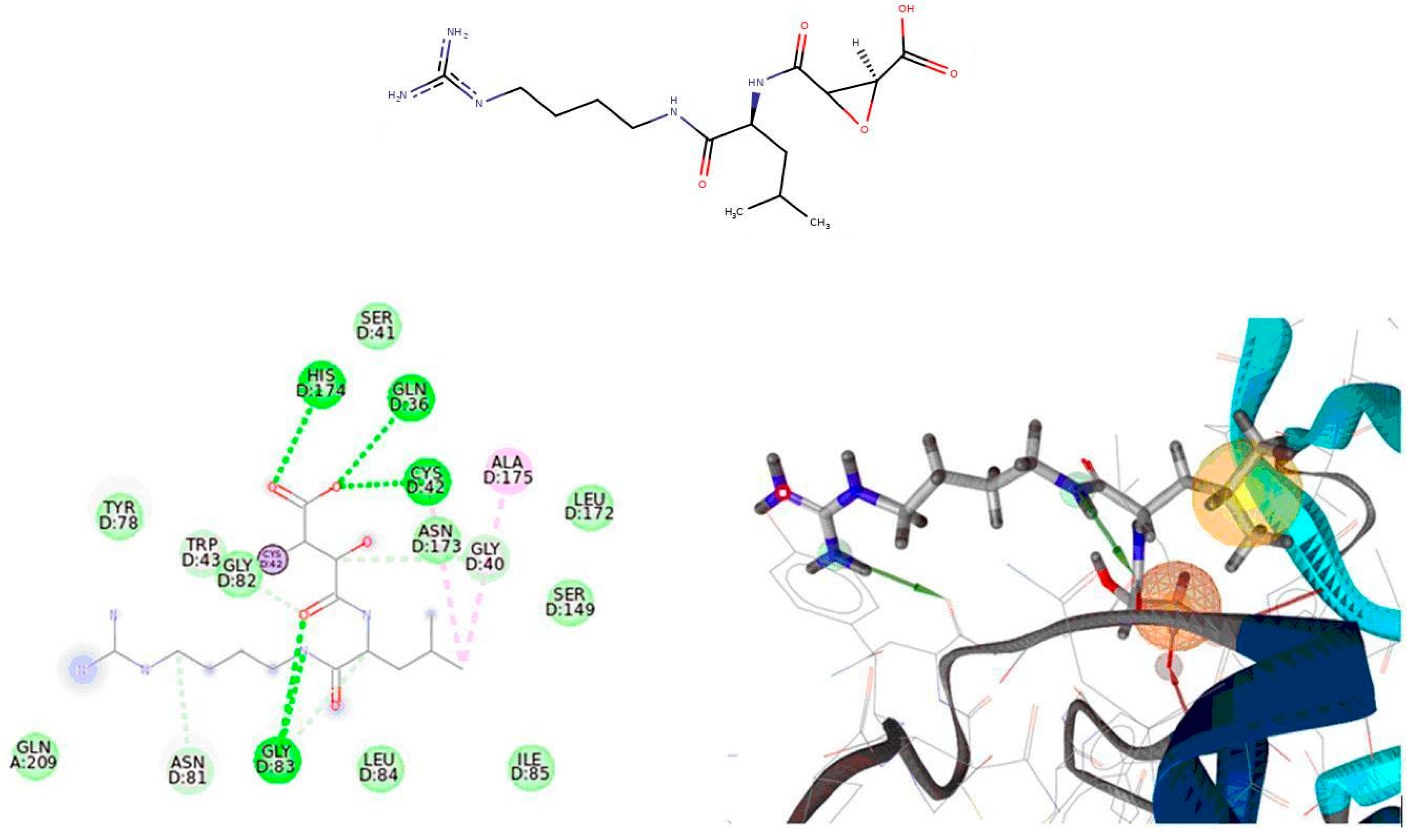 Molecules 25 04485 g001 Molecules 25 04485 g001