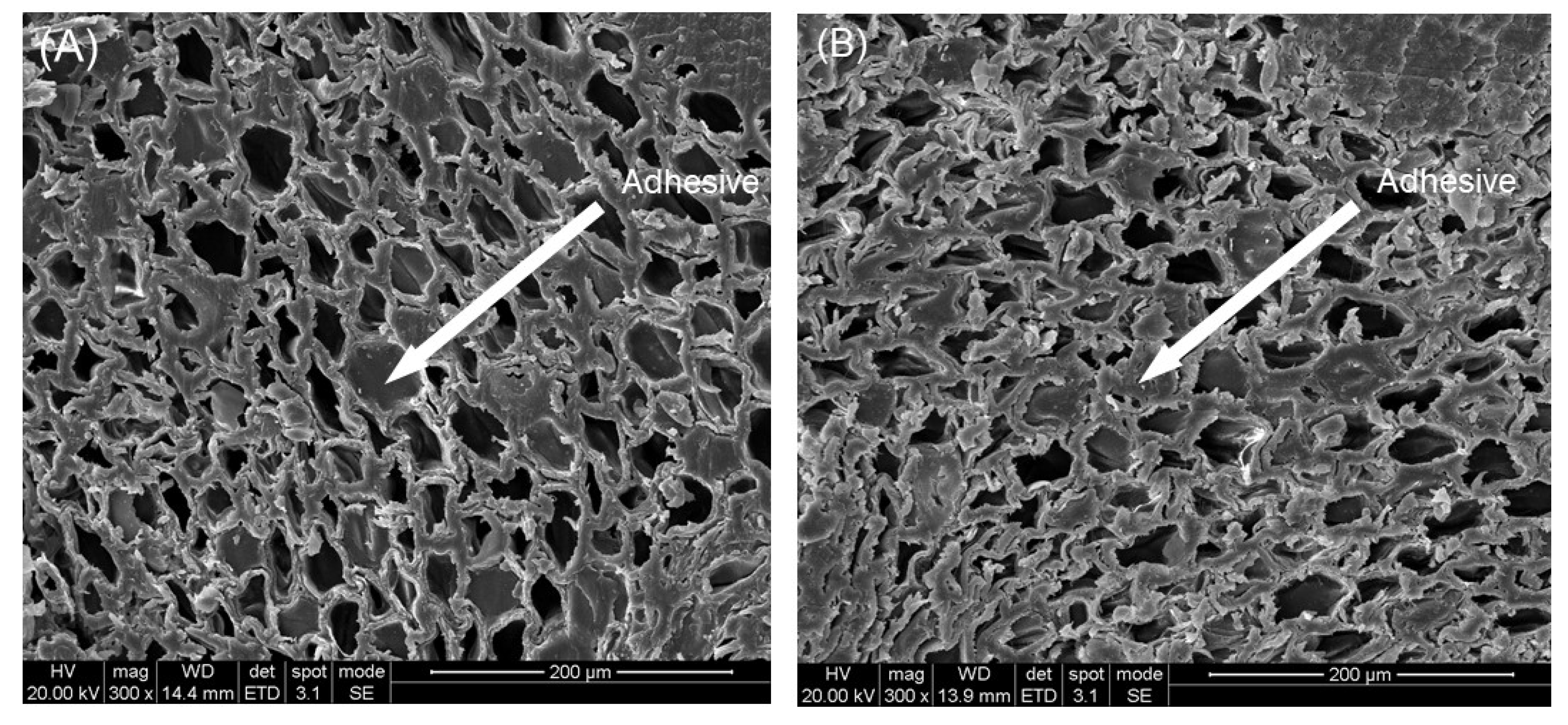 Molecules 25 04488 g001 Molecules 25 04488 g001