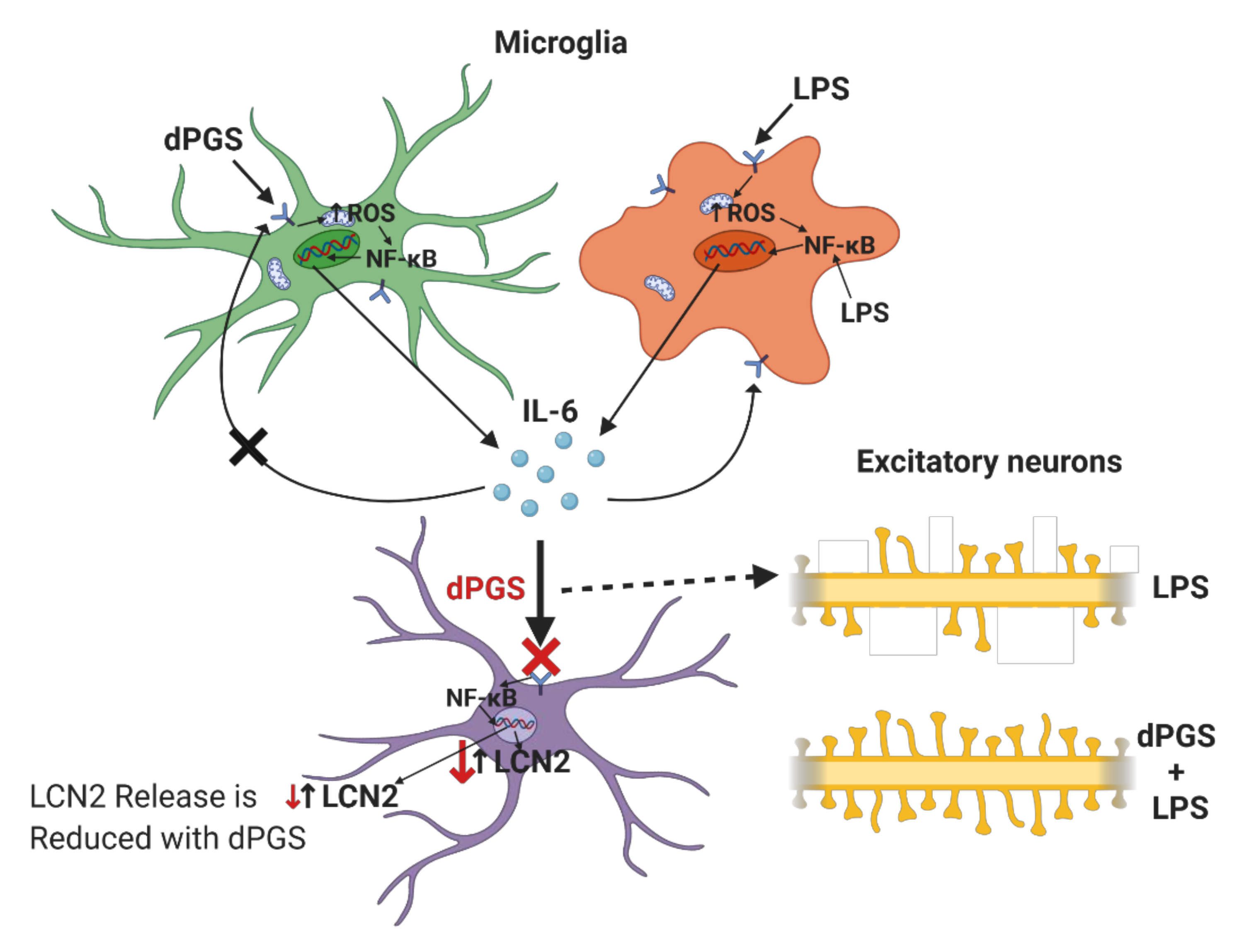 Molecules 25 04489 g001