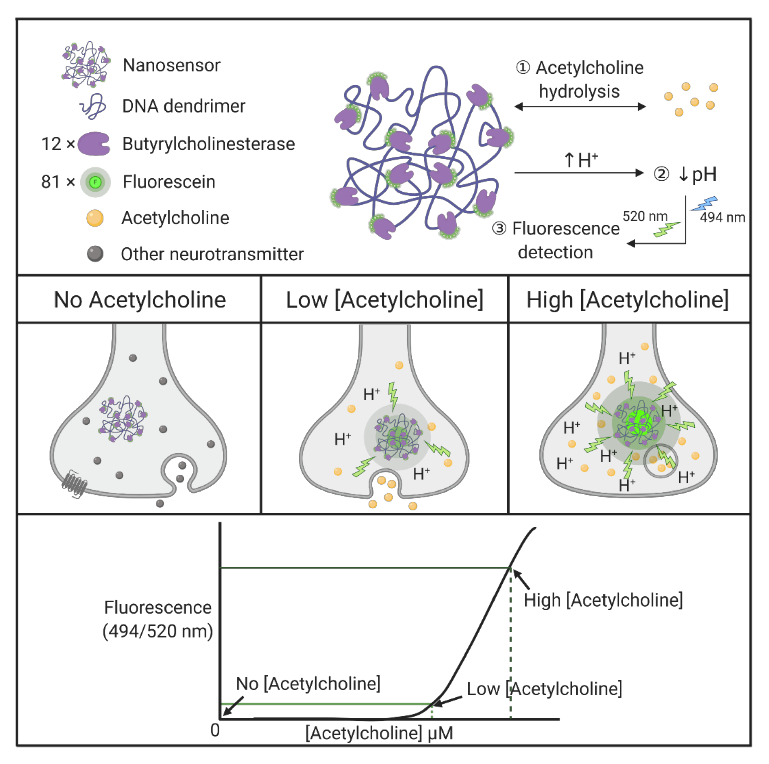 Molecules 25 04489 g005