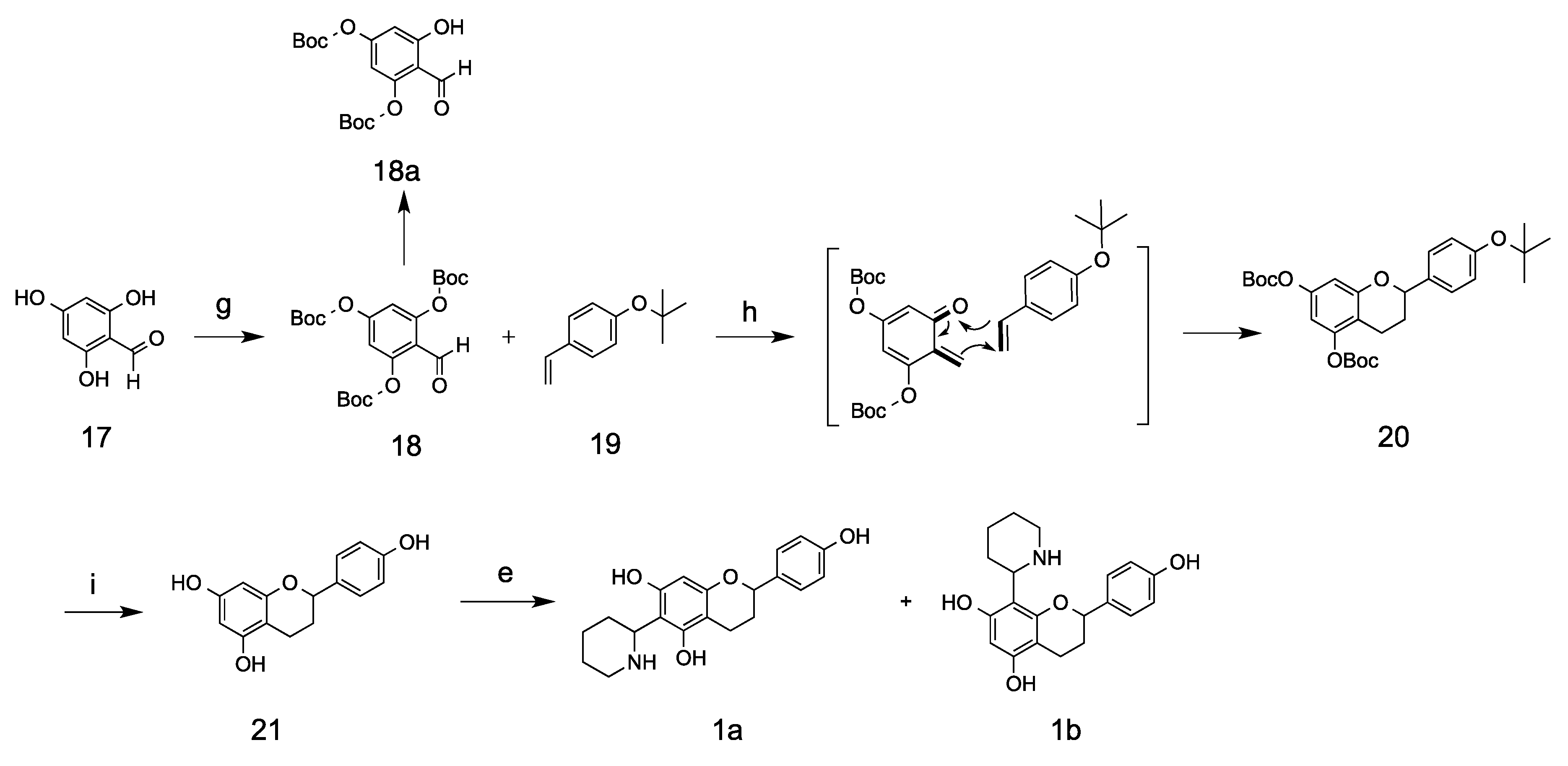 Molecules 25 04491 sch003